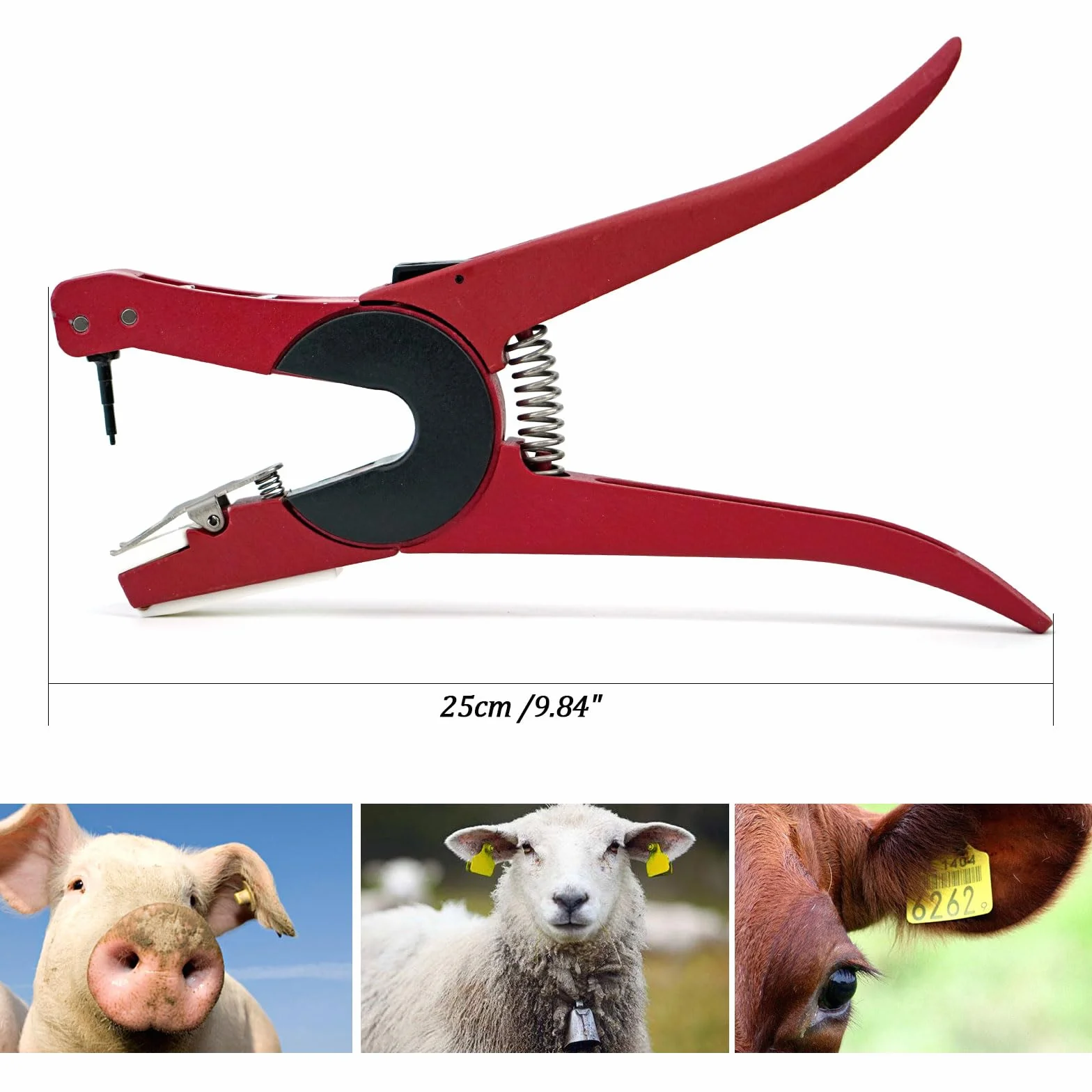Pinze per Etichette Auricolari, Applicatore Universale per Bestiame Bovino, Pecore, Mucca, Punzonatrice per Etichette Auricolari, con Perno di Ribaltamento (Girevole a 90 Gradi)
