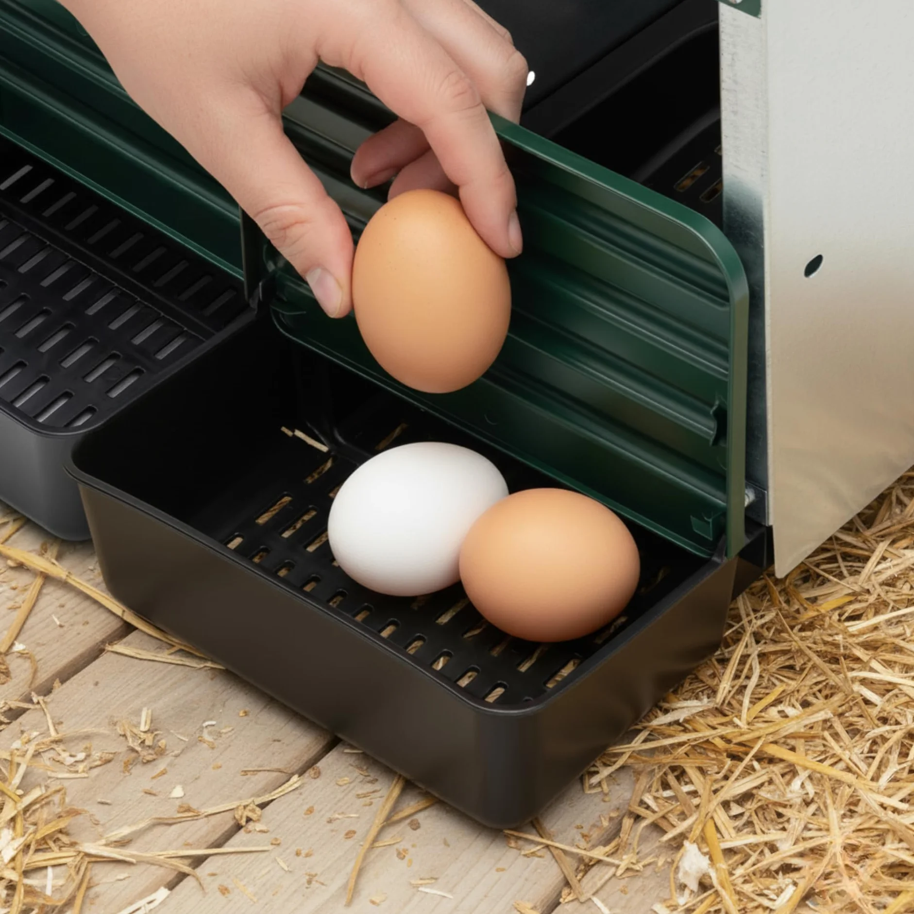 Agrarzone Nido per galline esterno in metallo 5 scomparto Raccolta uova esterna Resistente alle intemperie