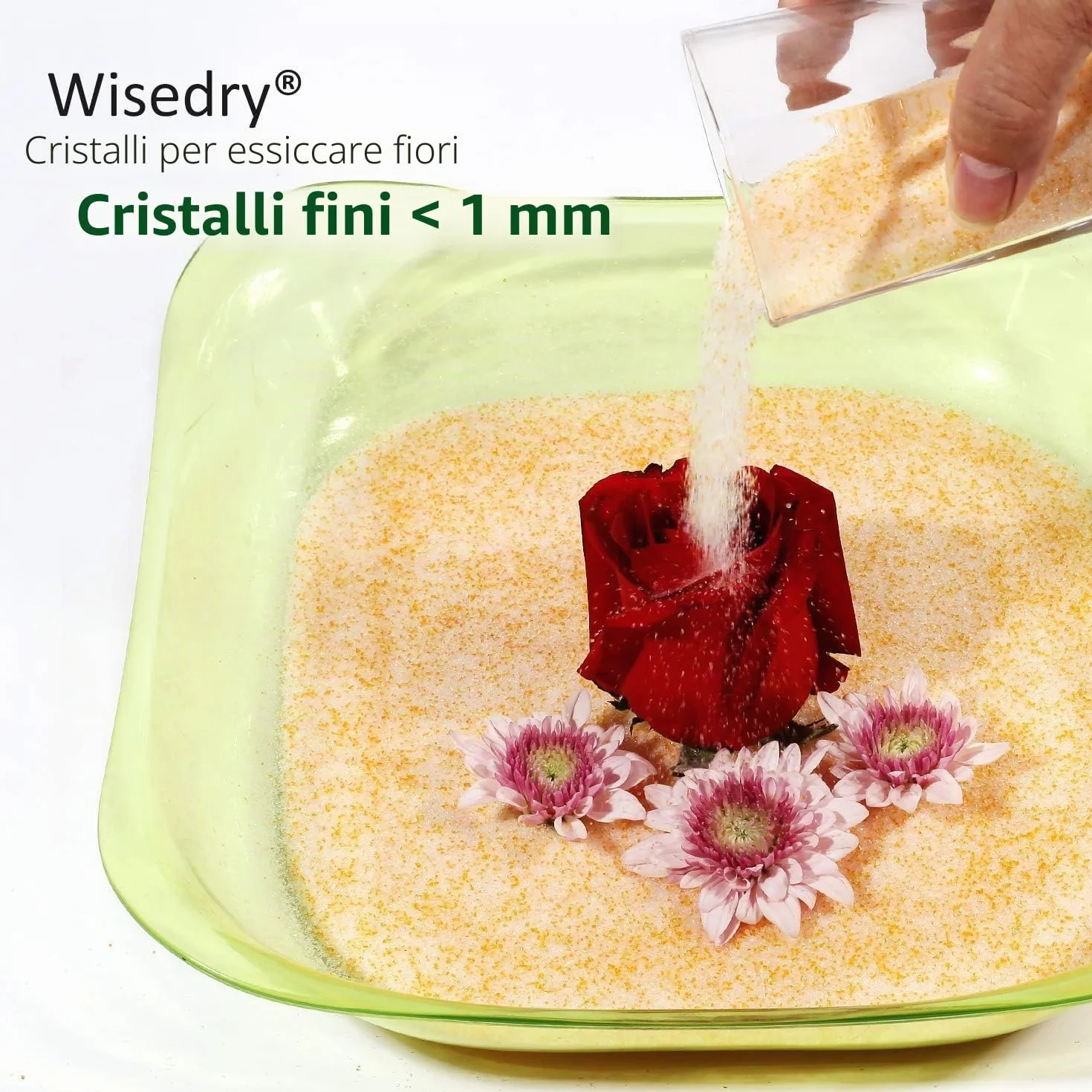 Cristallo di silice per l'essiccazione dei Fiori 2 libbre Cristalli Fini < 1 mm Riutilizzabile
