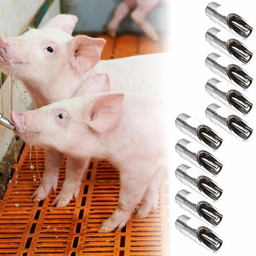 Pig Nipple Waterer Stainless Steel Automatic for Piglets Hog Farm Accessories