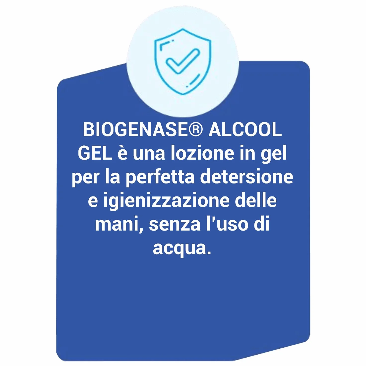 Bioderm Alcool Gel Igienizzante Mani 500 ml - Soluzione Alcolica con Aloe Vera