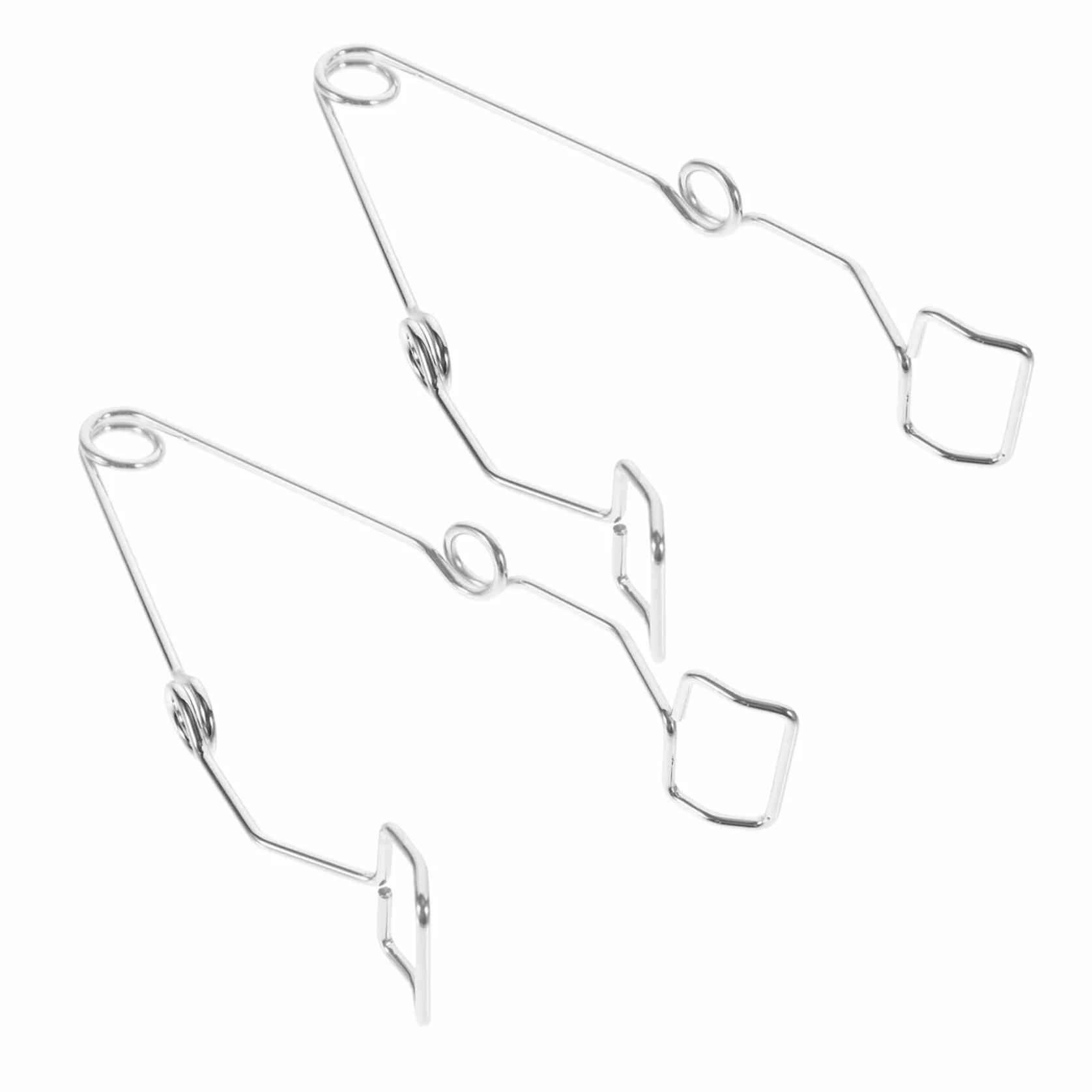 Ciieeo Morsetti per Provette in Ferro Auto-bloccanti 2 Pezzi Argento Resistente Alte Temperature Struttura a Molla per Laboratorio e Scuola