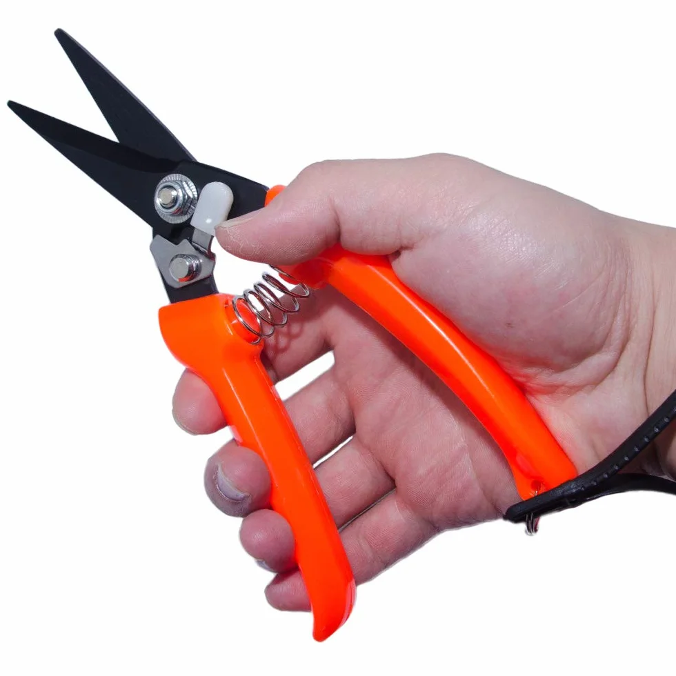 Forbici professionali per pecora e capra 20,3 cm lame dentate rosso nero