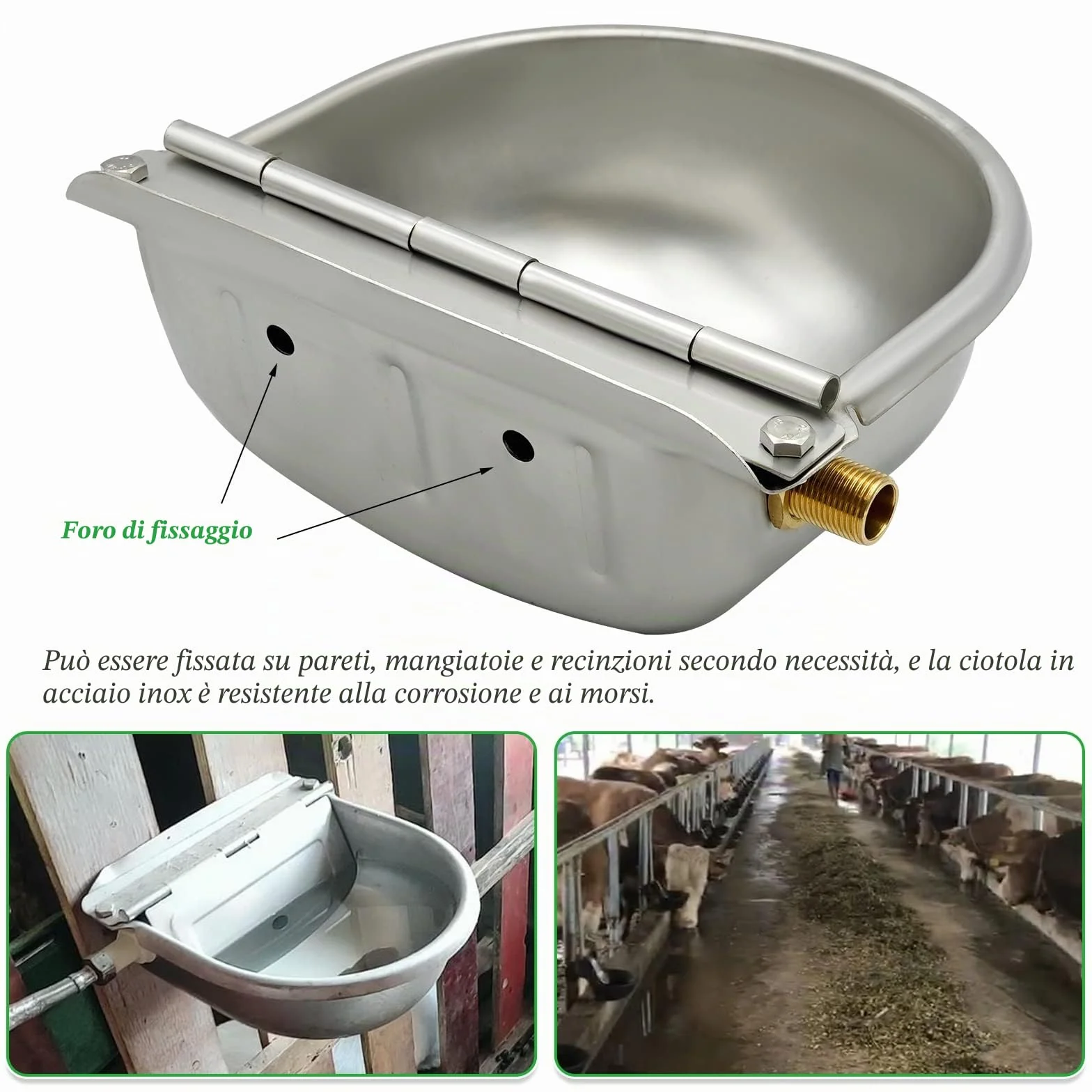 Abbeveratoio automatico in acciaio inox con valvola galleggiante per cani, cavalli, capre, pecore