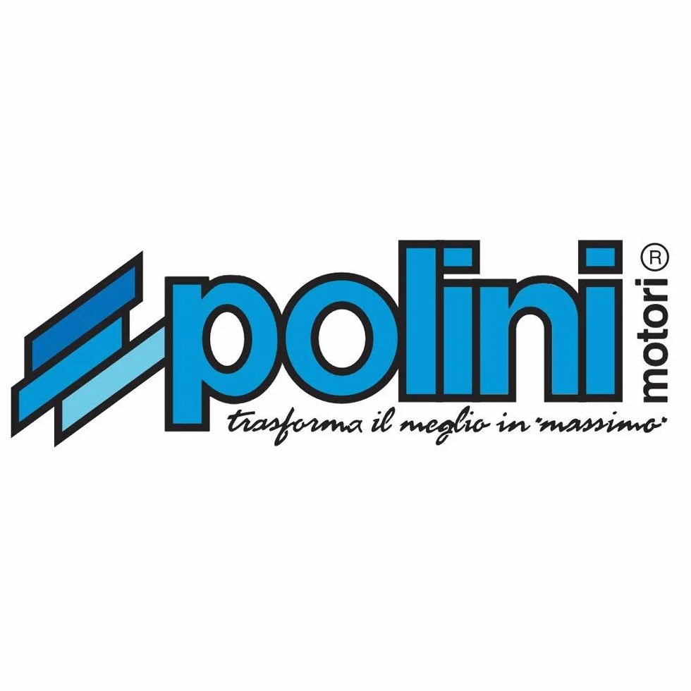 POLINI Dischi Frizione APE 50 3 Dischi