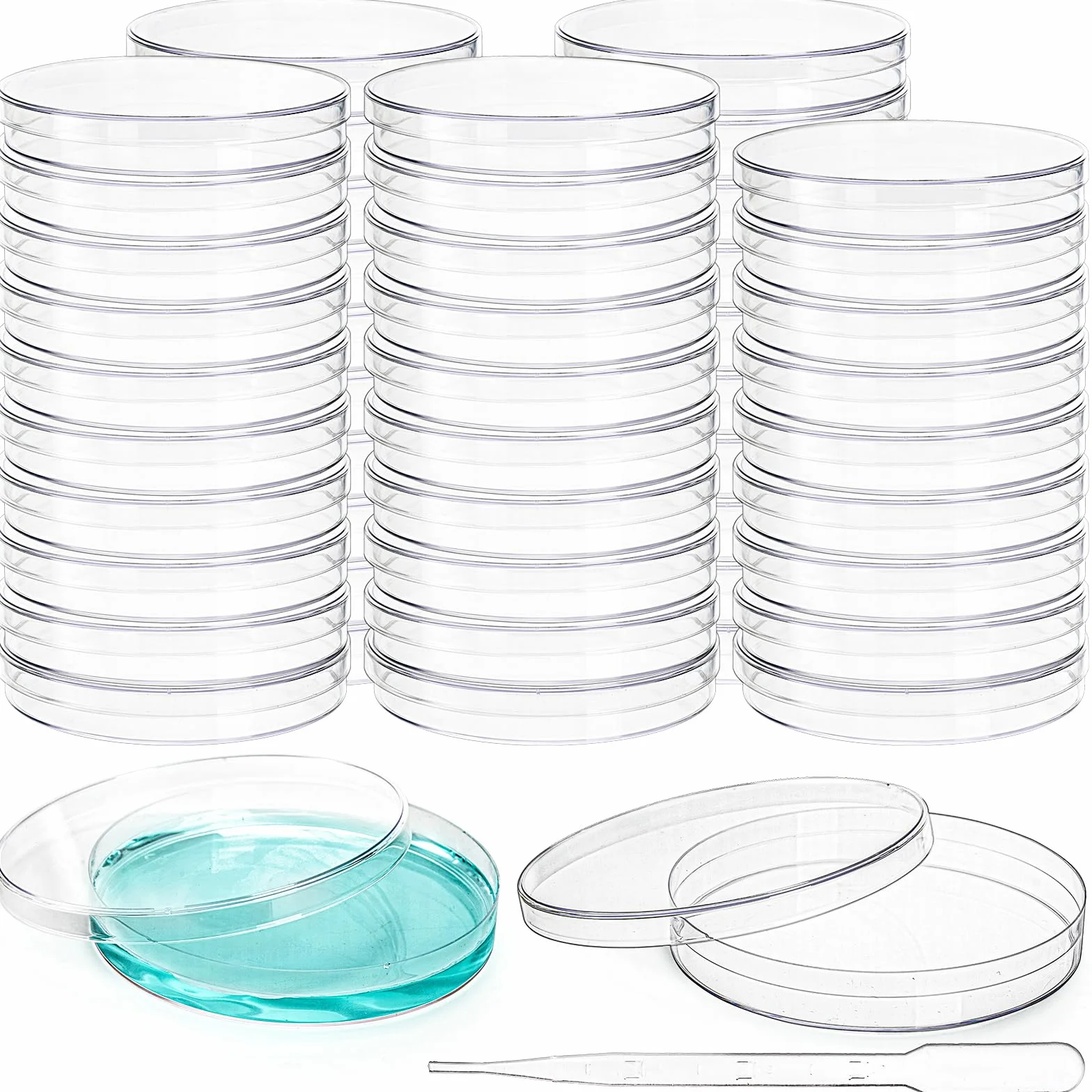 Bekith 50 ciotole in plastica, 90 mm x 15 mm, sterili per colture batteriche con coperchio, ciotola di Petri trasparente, contagocce per scuole e cultura di laboratorio, lievito batterico