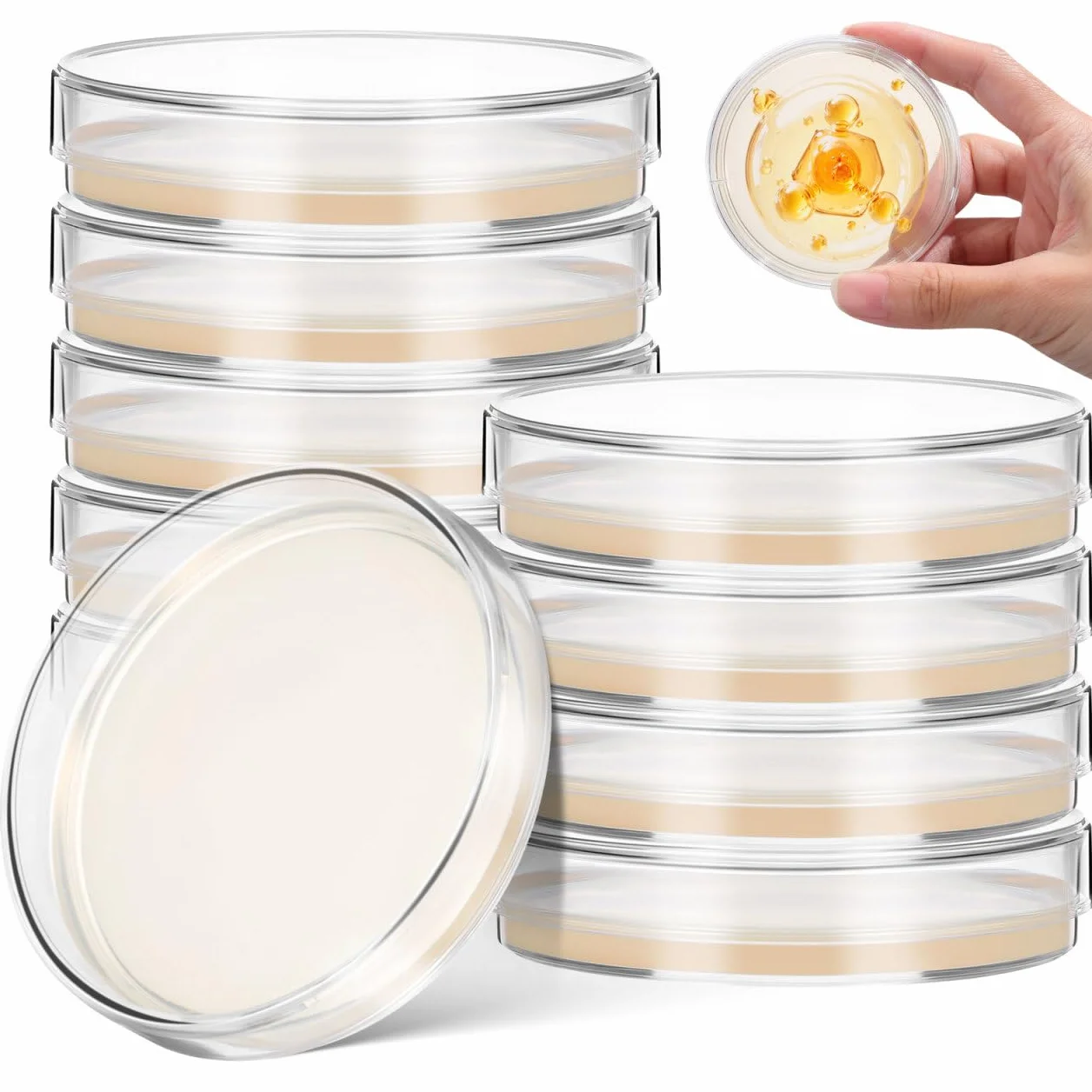 ULTECHNOVO 10 lastre di agar da 7 cm, preriempite di agar Petri, per esperimenti microbiologici, materiali di laboratorio, per applicazioni scientifiche, set di scienze con agar