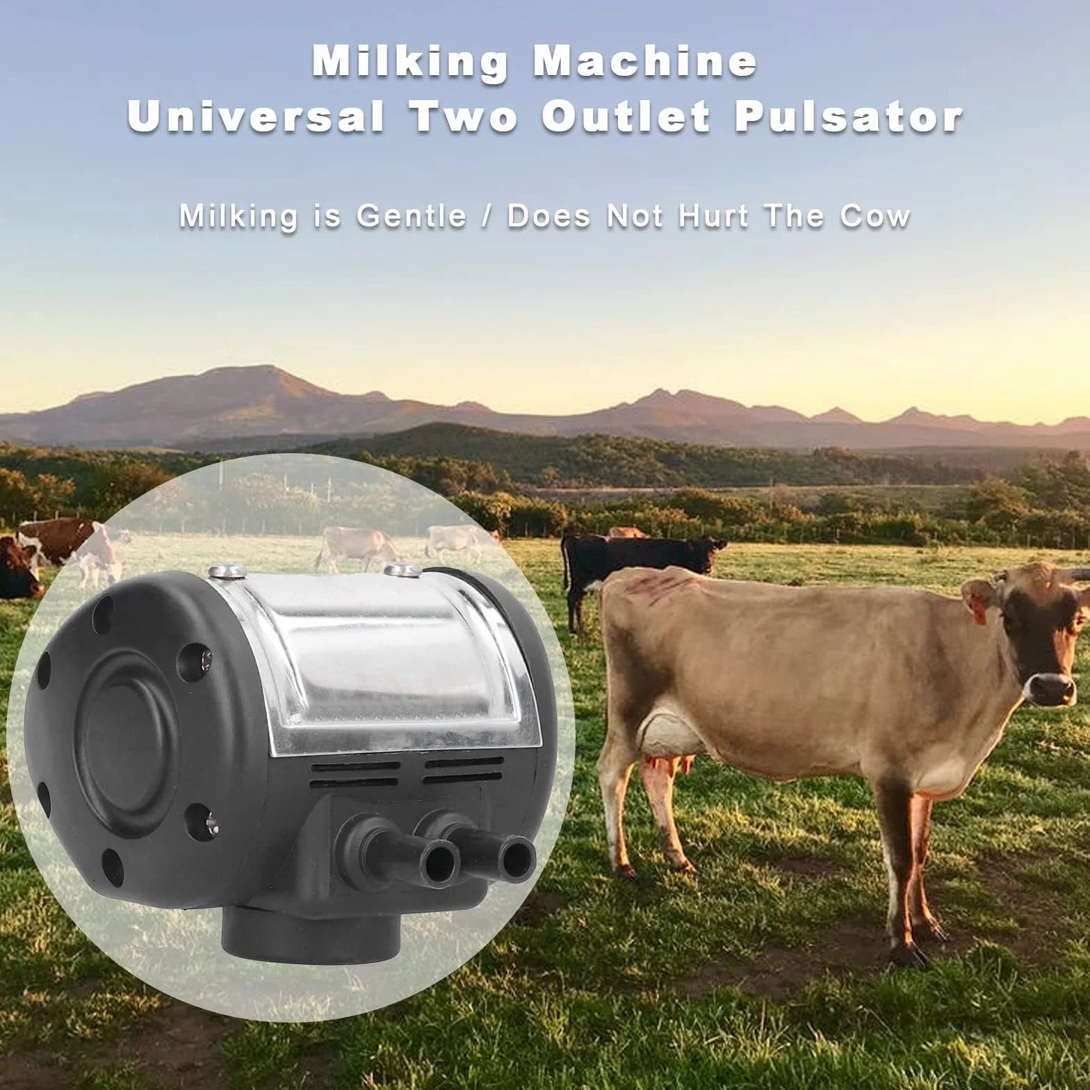 OUKENS Pulsatore per mungitrice Universale a 2 uscite in plastica per Mucche e Pecore