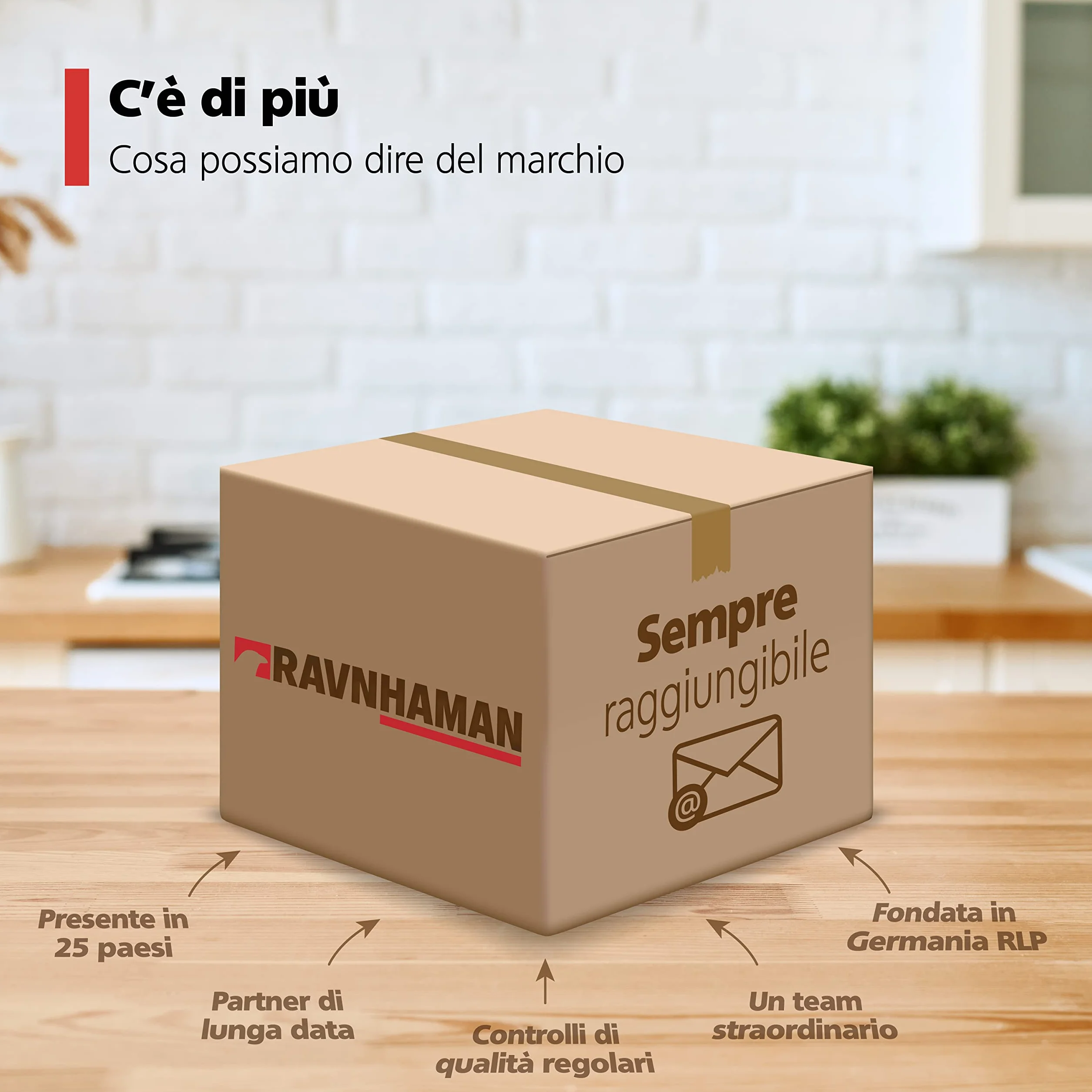 RAVN HAMAN Set da 4 Ruote per carichi pesanti 75 mm - Ruote pivontanti per mobili con freno fino a 50 kg per ruota - Ruote girevoli per uso interno ed esterno - Rotelle piroettanti