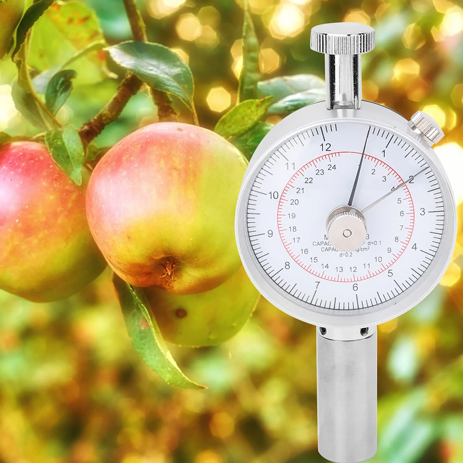 Durometro per Frutta Portatile, Sclerometro Penetrometro con 2 Teste di Misurazione
