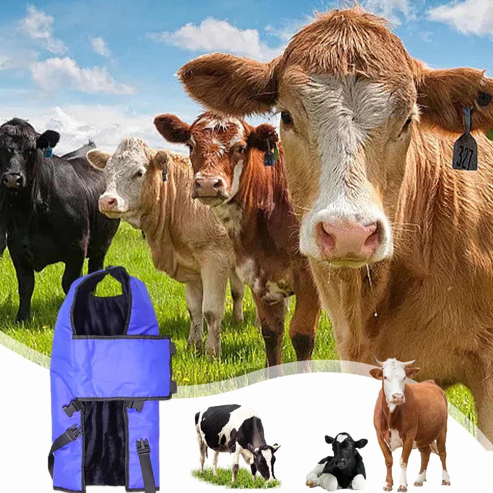 Coperta per vitelli, coperta per capra, coperta per polpaccio, coperta per polpacci, calda e antivento, per mantenere al caldo, protezione addominale, antivento