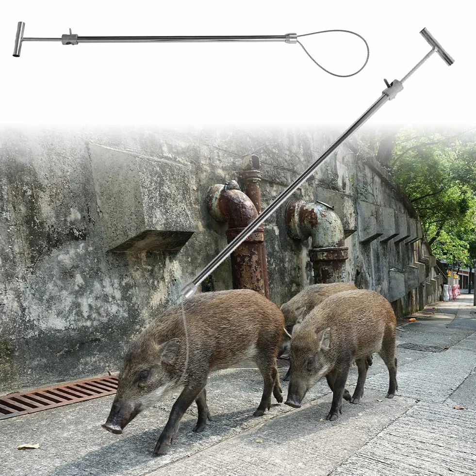 Palo per Cattura Animali Acciaio Inossidabile 28cm Max Diametro Fune