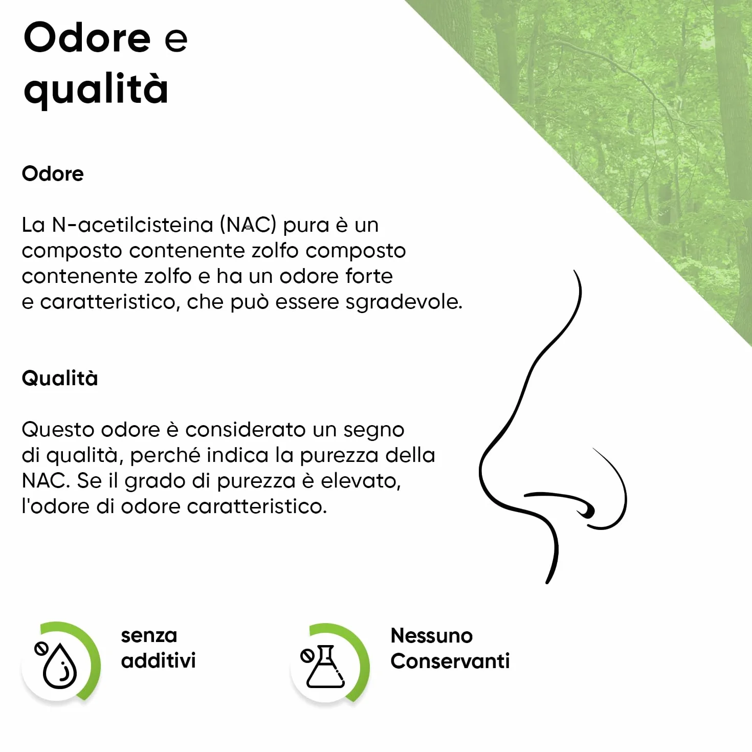 NAC Polvere 300 g N-acetile L-cisteina Alto dosaggio Vegano Testato in laboratorio