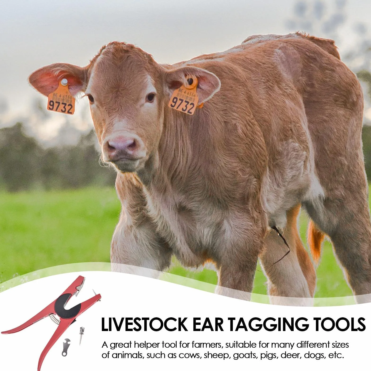 Pinza per orecchini per bovini | Strumento di installazione di carte di identificazione | Pinza per appoggiare gli orecchini per bovini, per mucche, pecore, capre, cervi, cani, fattoria, ranch e G