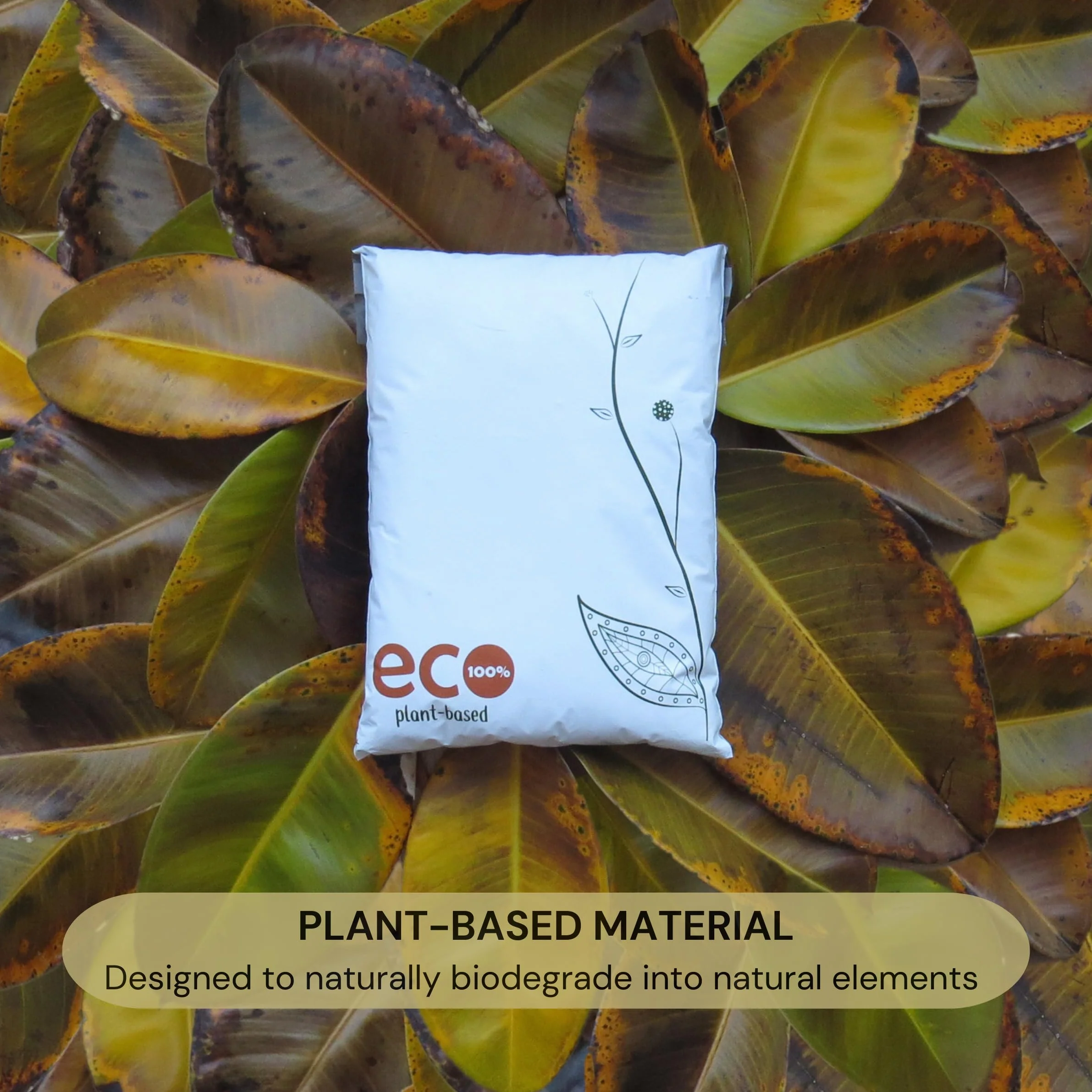 Treehouseco Sacchetti postali compostabili ecologici: sacchetti biodegradabili, riutilizzabili e senza plastica, bianco, Medium: 12 x 16" (30 x 40cm), Classico