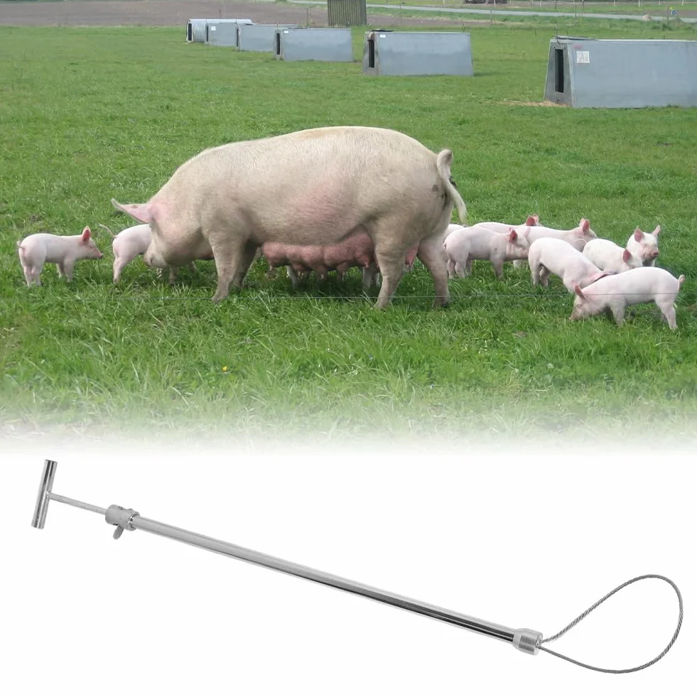 Palo per Cattura Animali Acciaio Inossidabile 28cm Max Diametro Fune