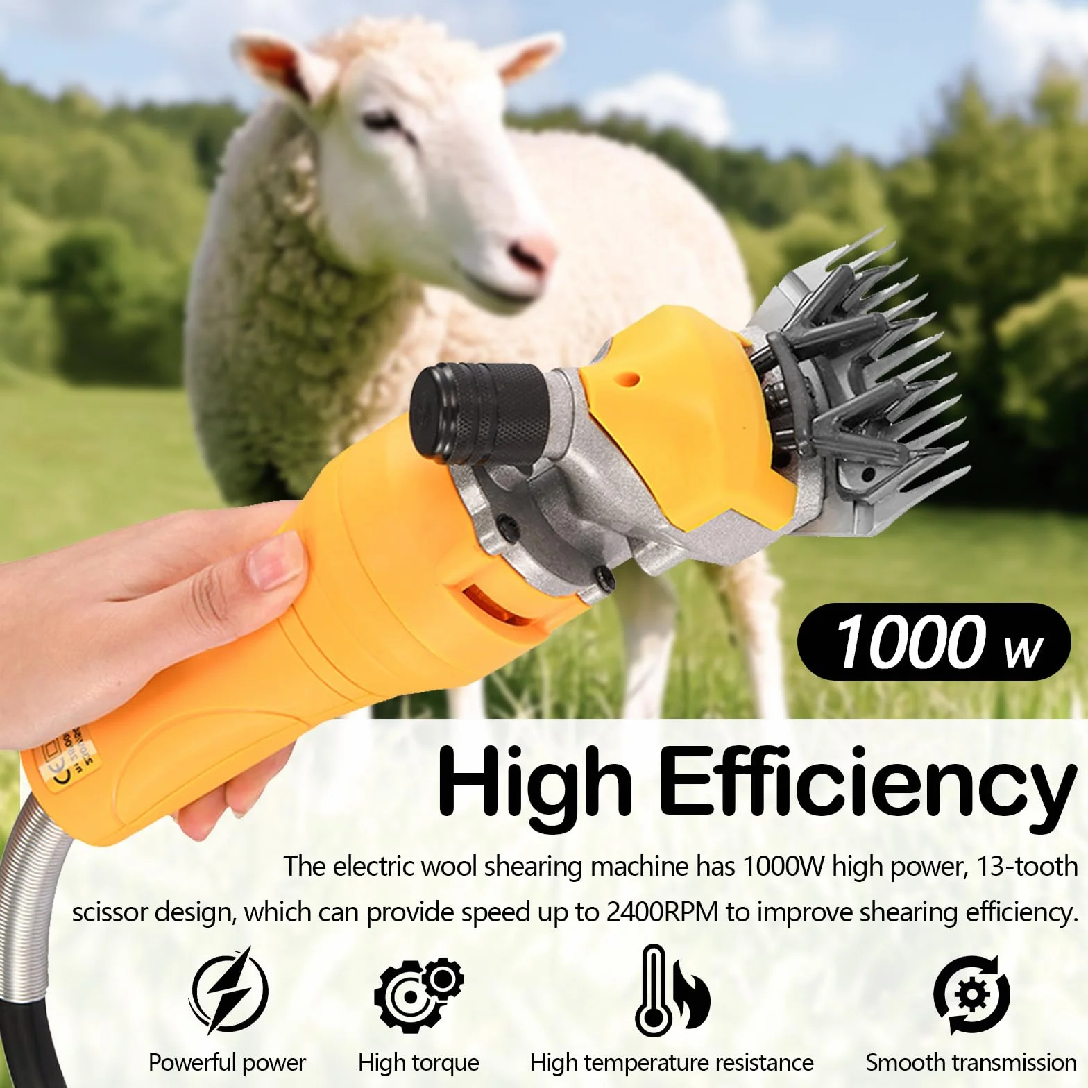 Tosatrice Per Pecore 1000W Professionale 13 Denti 2400 Giri/Min Motore Ad Alta Potenza Cavo 5m