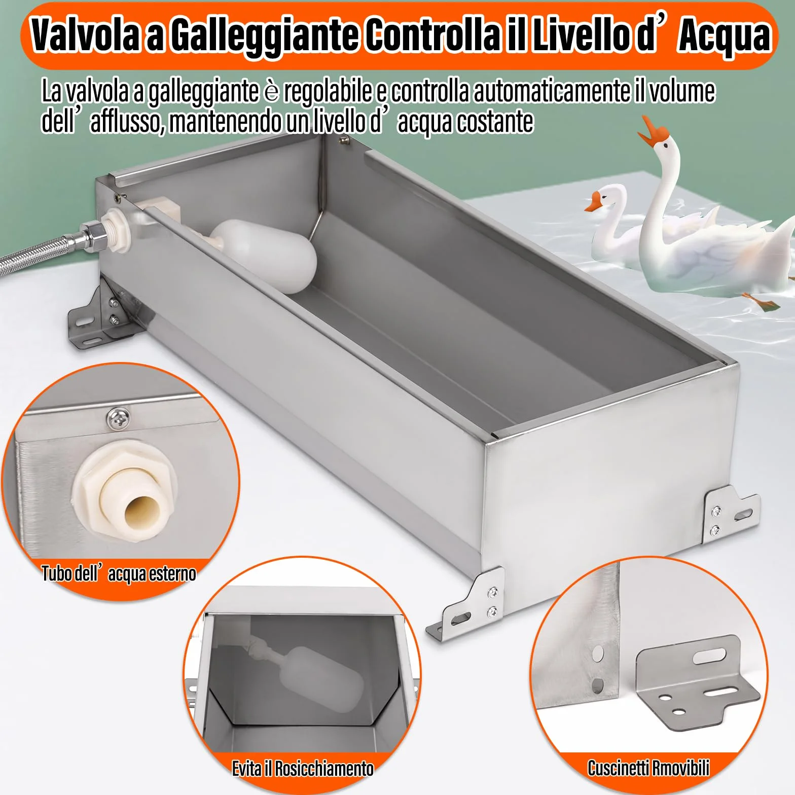 Abbeveratoio Per Cavalli in Acciaio Inox con Valvola a Galleggiante 1/2 Pollice Automatico