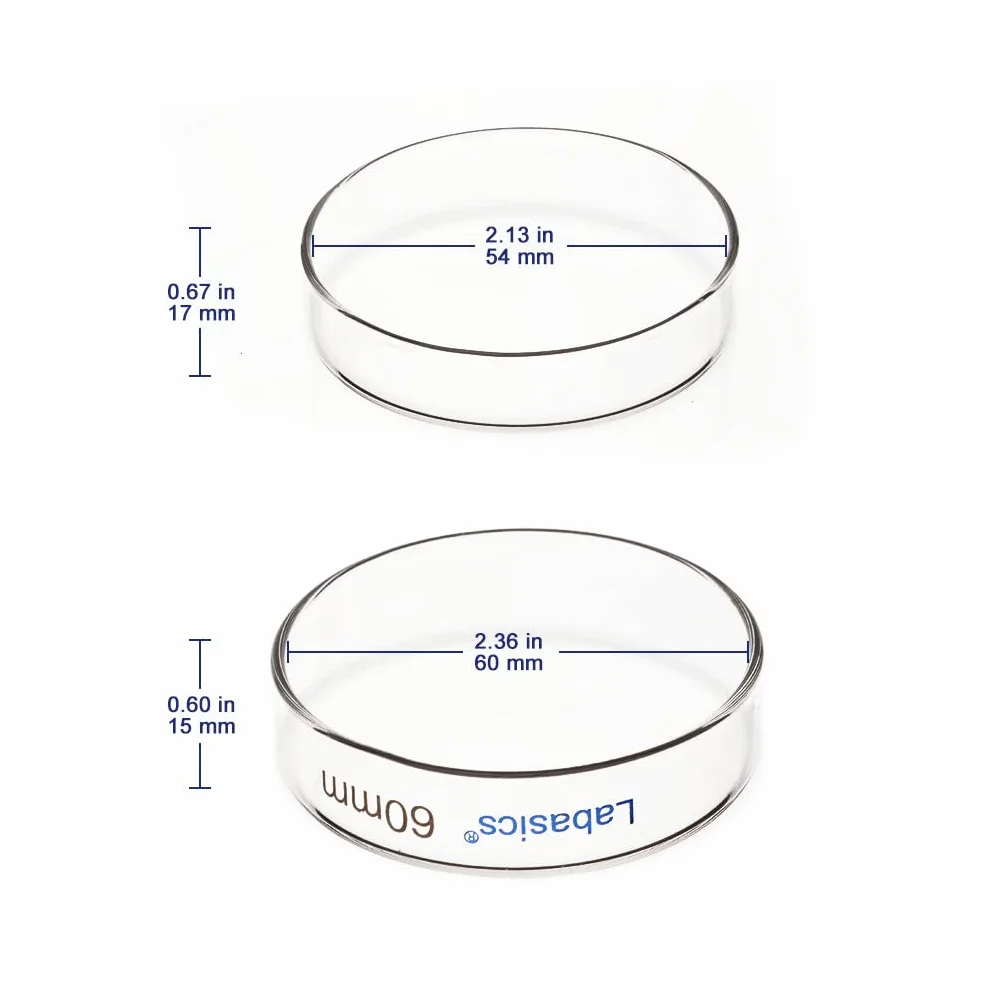Labasics Piastre di Petri in Vetro 10pk, 60x15 mm Piastre Petri per Colture Cellulari in Vetro Borosilicato Autoclavabili con Coperchio Trasparente per Laboratorio