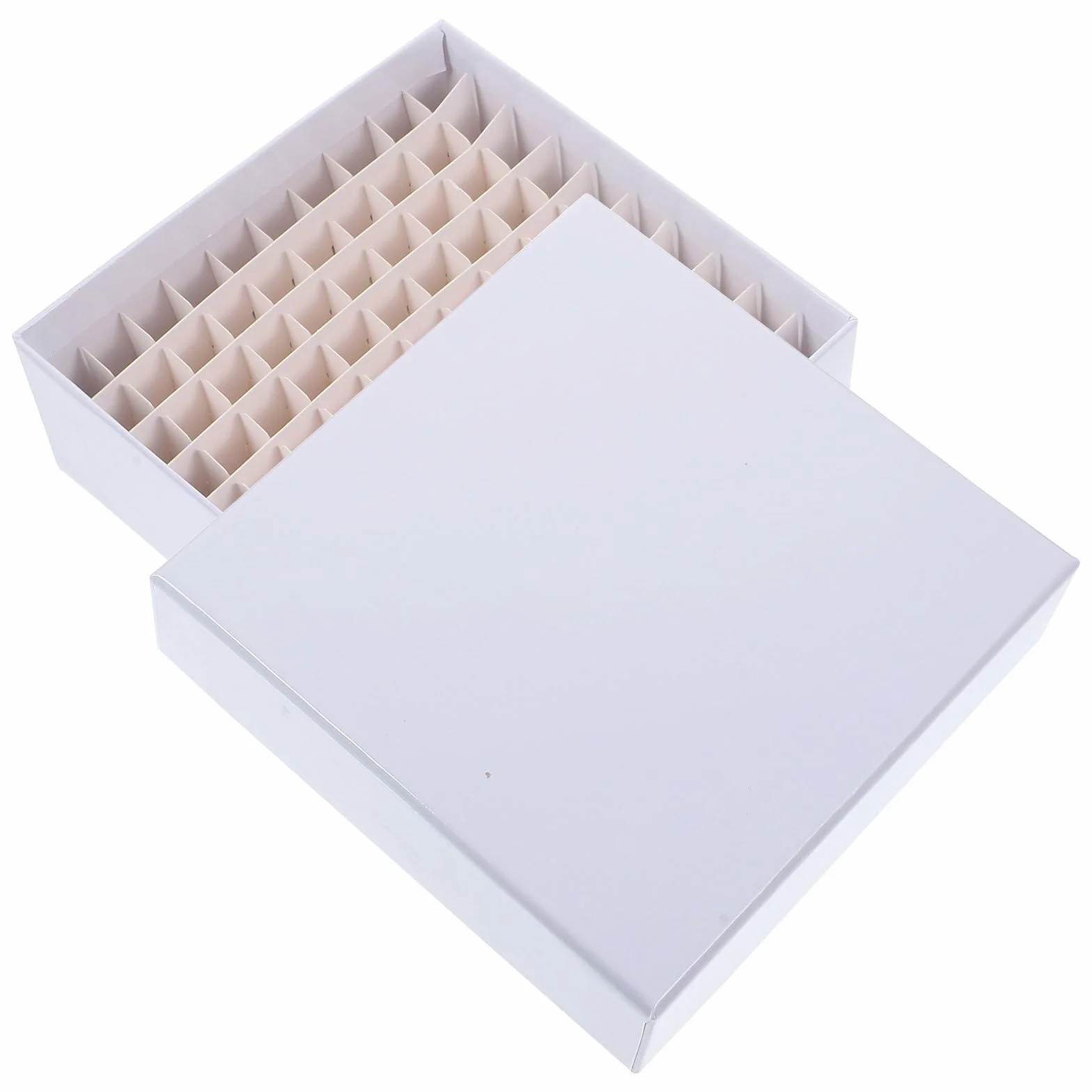 Porta Provette da 100 Scomparti per Microcentrifuga in Carta Bianca, Scatola di Stoccaggio per Congelatore