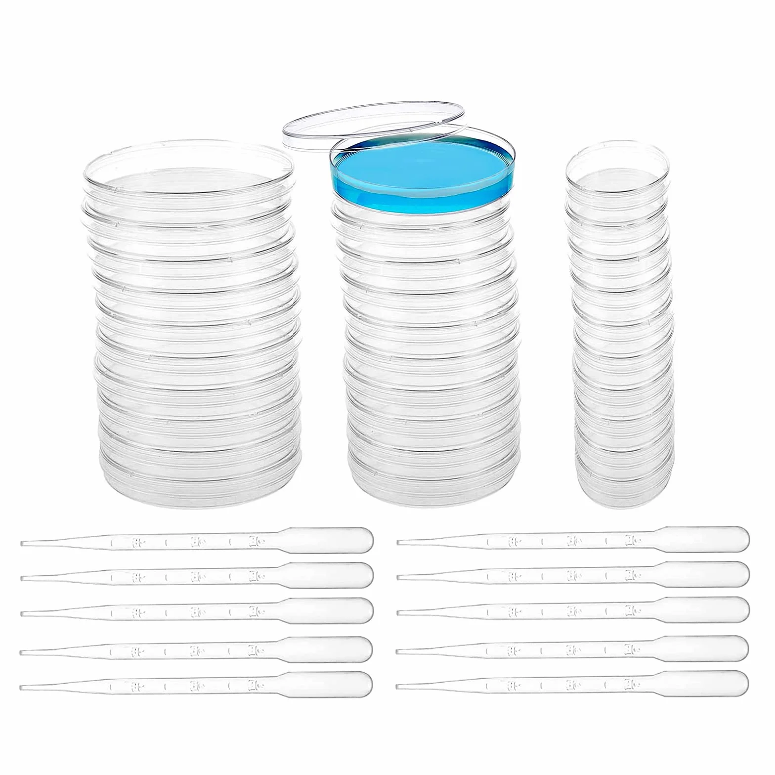 65+55+34 mm Piastra di Petri con Coperchio,30 Pezzi Piastre Di Petri In Plastica Sterile Per Laboratorio Esperimento Biologia Studi,con 10 Pipette Di Trasferimento da 3 ml