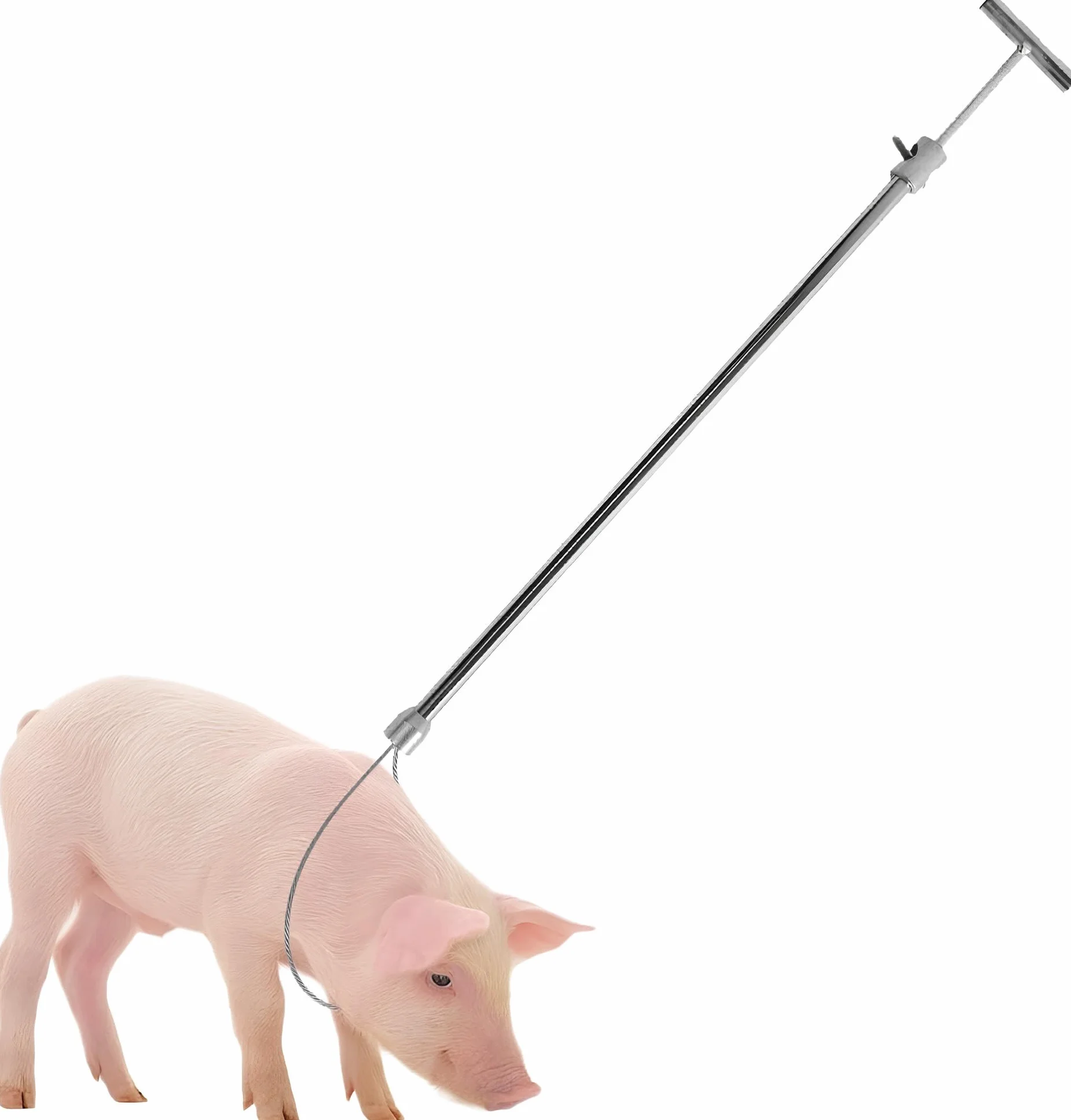 Palo per Cattura Animali Acciaio Inossidabile 28cm Max Diametro Fune