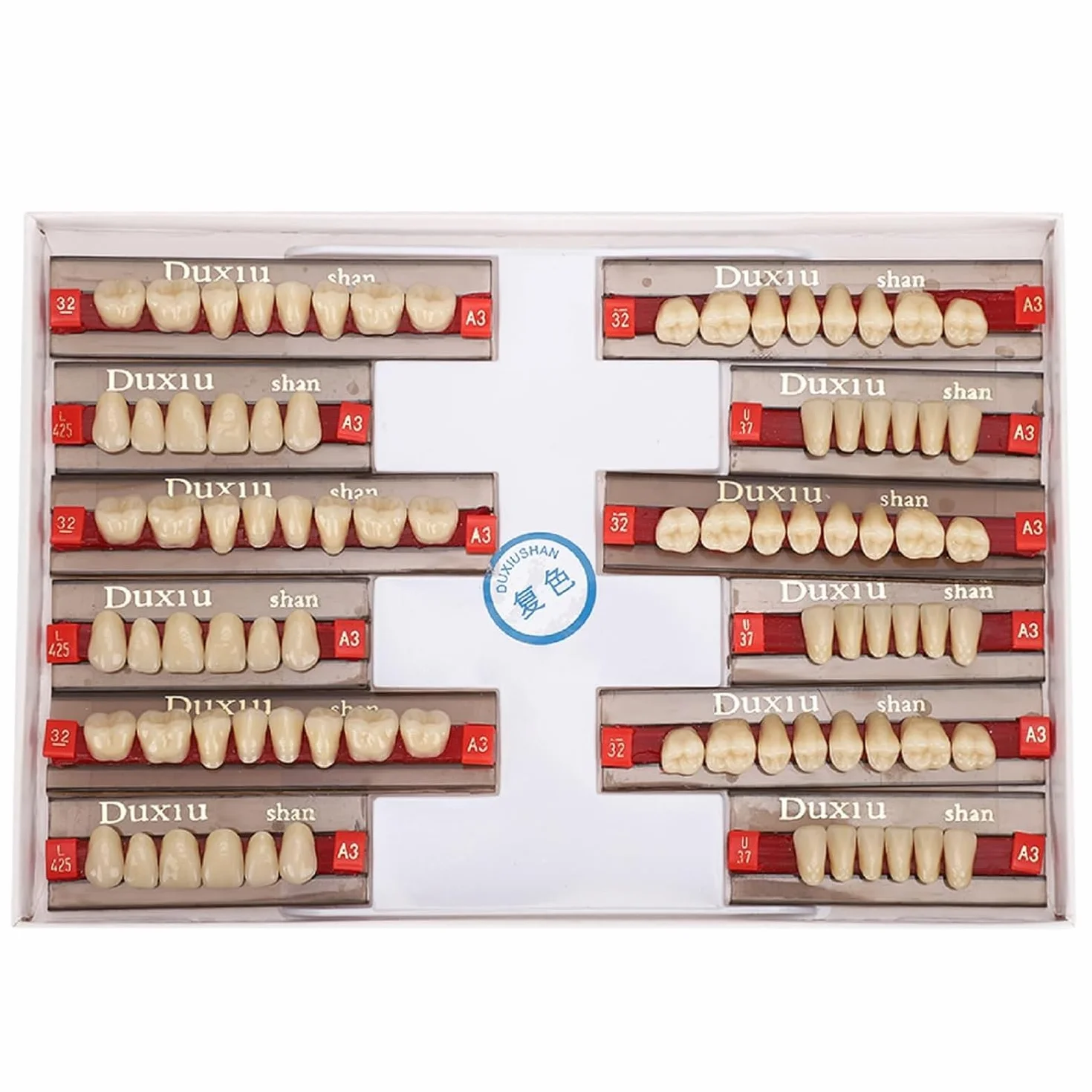 Denti in Resina Sintetica Acrilica per Protesi Dentale, Modelli Dentali, Forniture per Dentisti