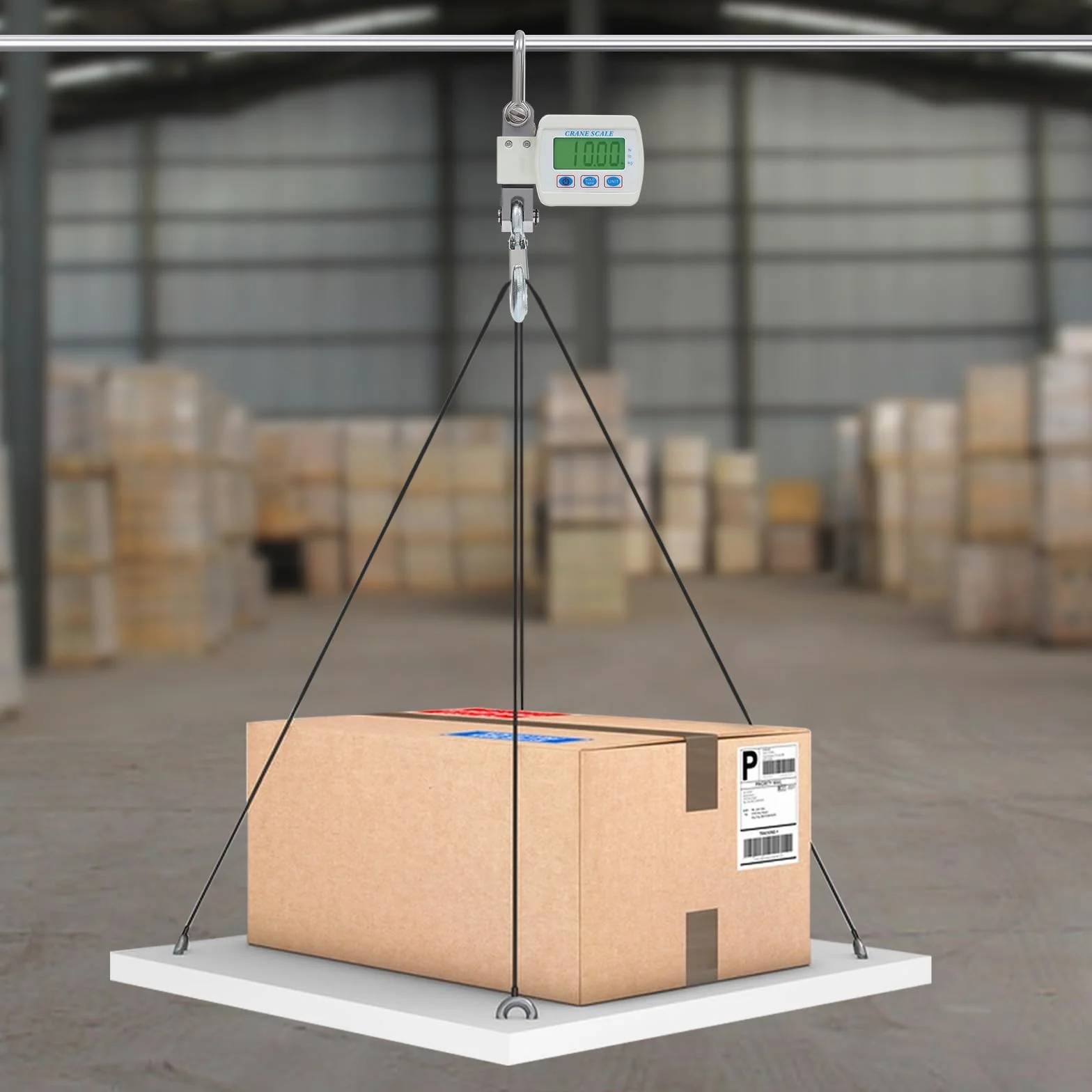 Bilancia sospesa elettronica 500 kg con telecomando gancio professionale ricaricabile