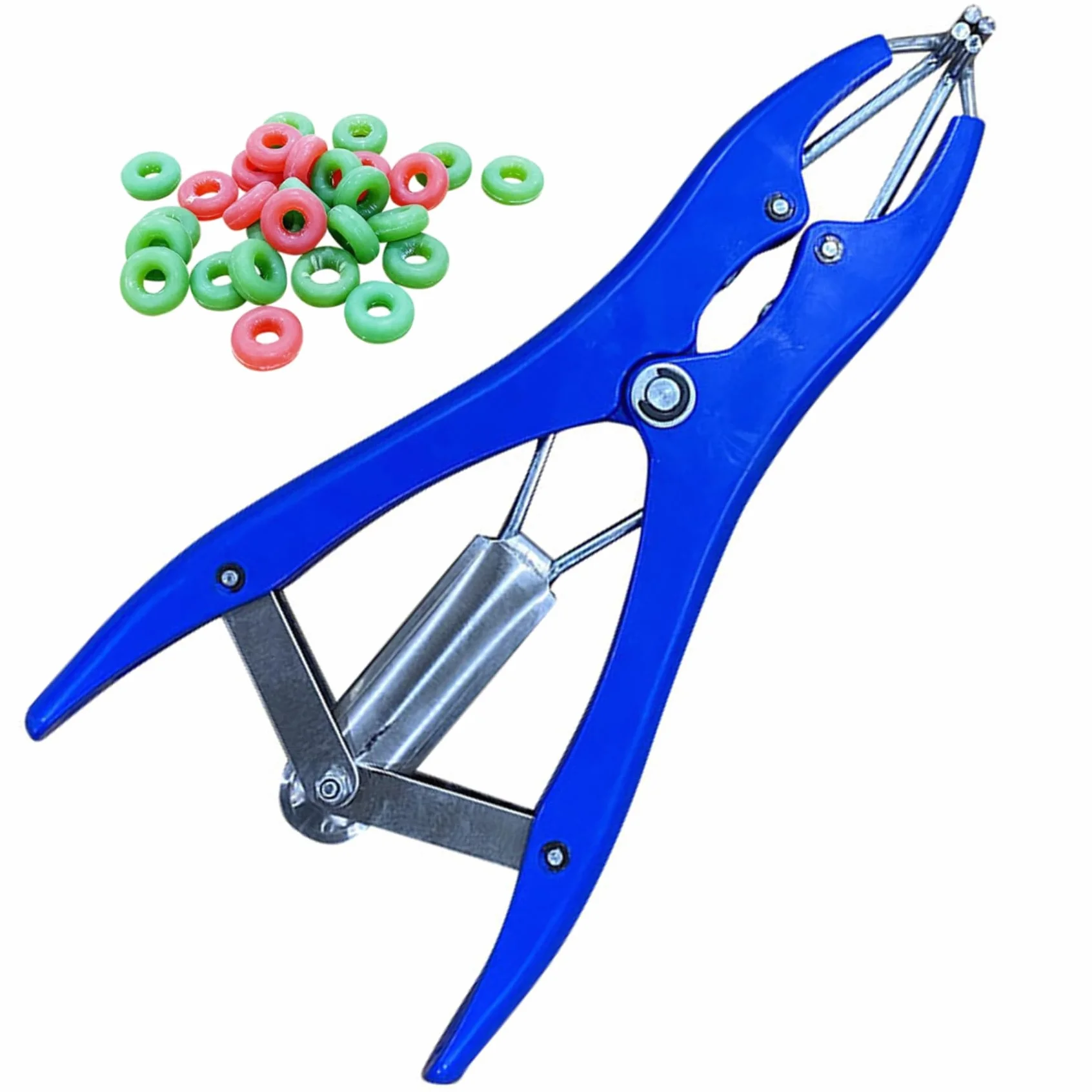 Kit per fascere per capre | Strumento per fasciare per castrazione Pinza elastica per castrazione in acciaio inossidabile con 100 anelli in gomma per suini, bovini, pecore, mucche