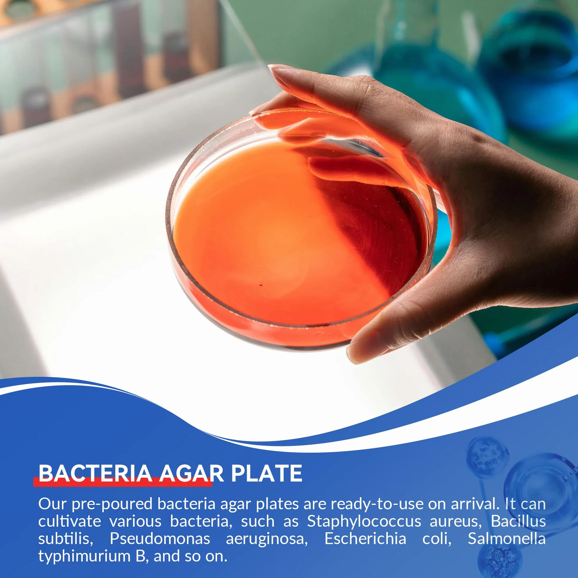 Kit di progetti scientifici per piatti di agar nutrienti e tamponi di cotone preversi per esperimenti scientifici | Kit scientifico batterico sigillato separatamente