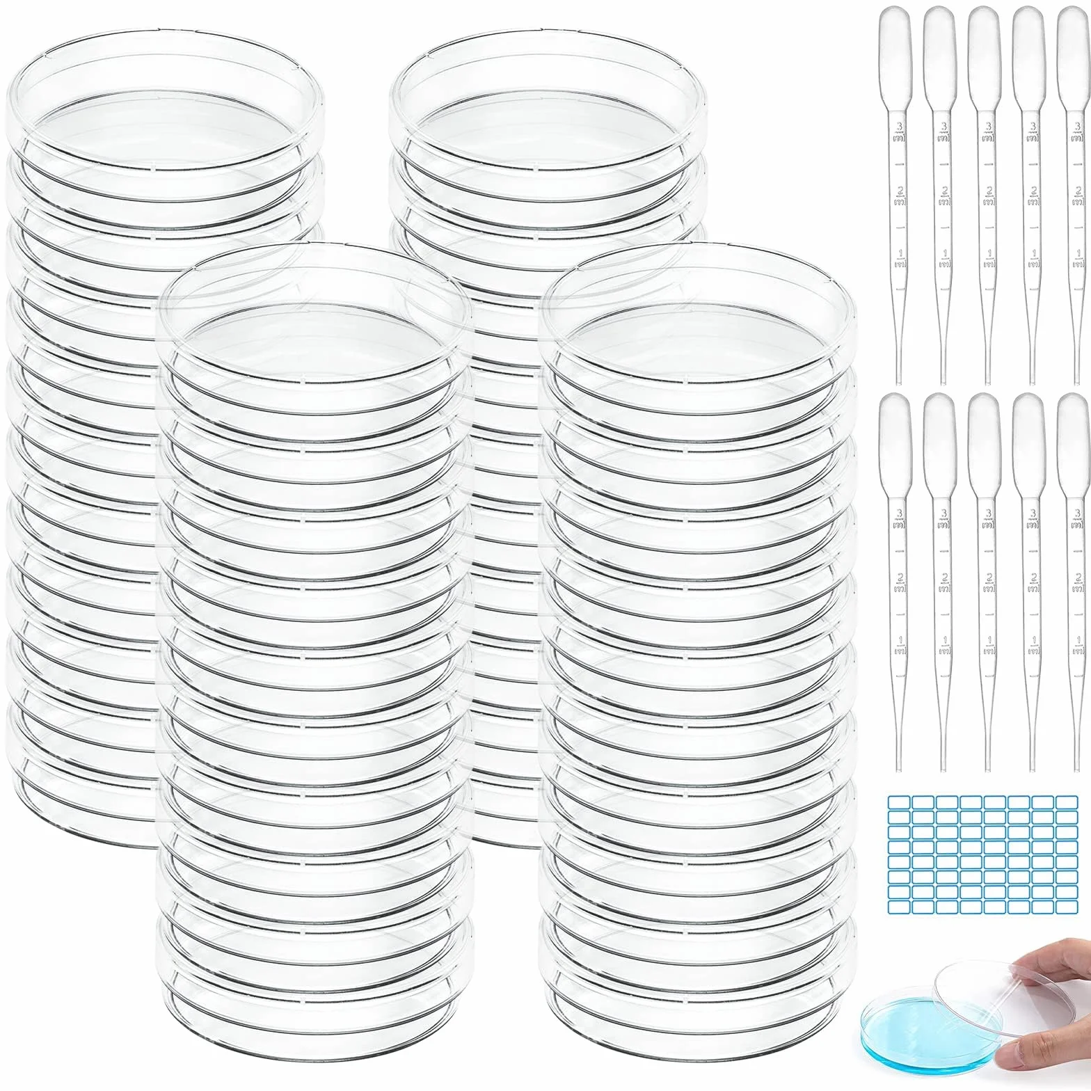 40 ciotole Petri, 55 x 13 mm, in plastica con coperchio, trasparente, sterile, con 10 contagocce in plastica e 1 adesivo, per cultura di laboratorio