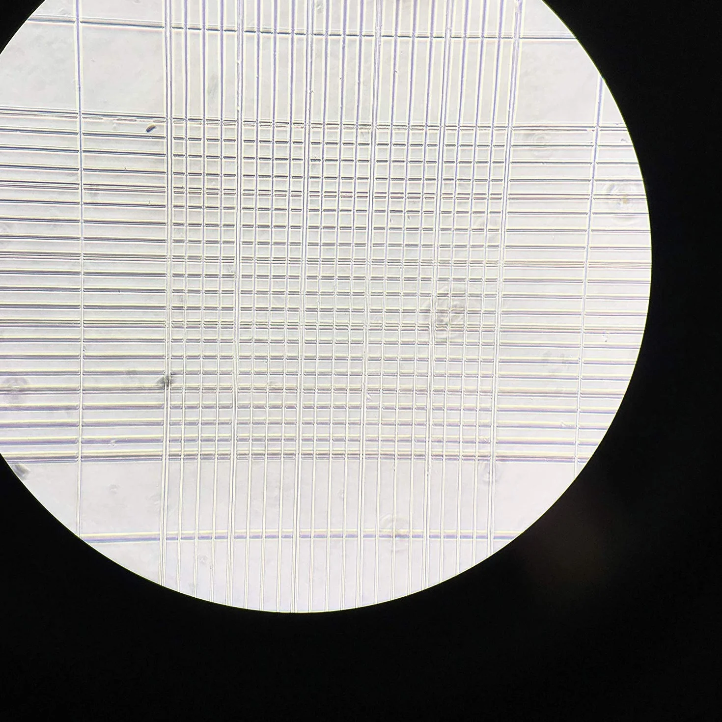 Camera di Burker, dispositivo con 100 placchette in vetro, per il conteggio delle cellule del sangue