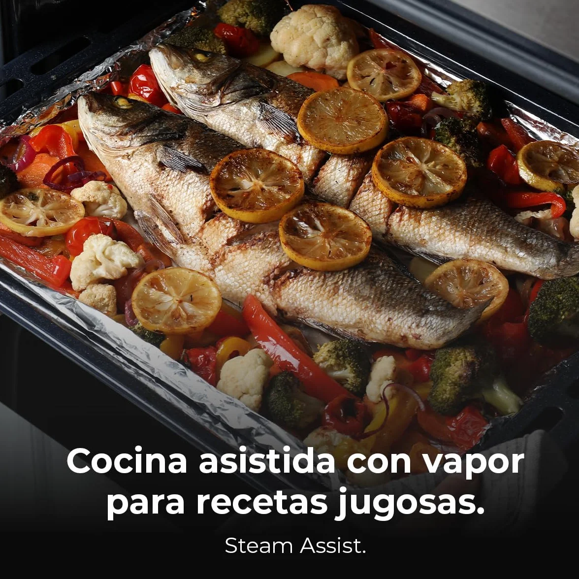 Cecotec Bolero Hexa M236000 Forno Incasso Multifunzione 70 L Dark Inox Steam Assist