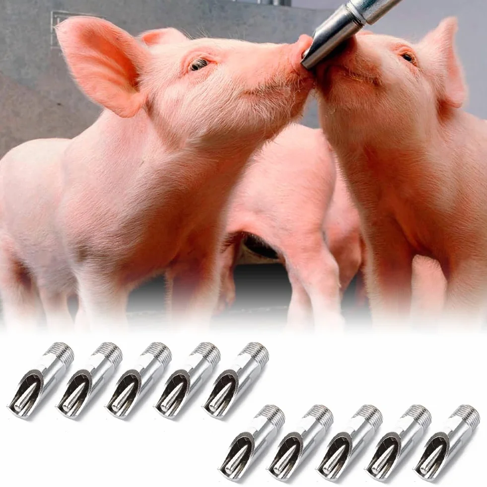 Pig Nipple Waterer Stainless Steel Automatic for Piglets Hog Farm Accessories