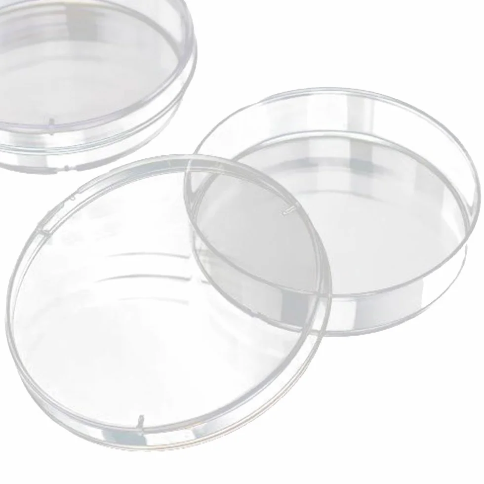 10 pezzi, Plastica di Petri, con Coperchio,MONOUSO Piastra di Petri Sterilizzata Trasparente, per Cultura di Laboratorio Lievito Batterico(70mm)