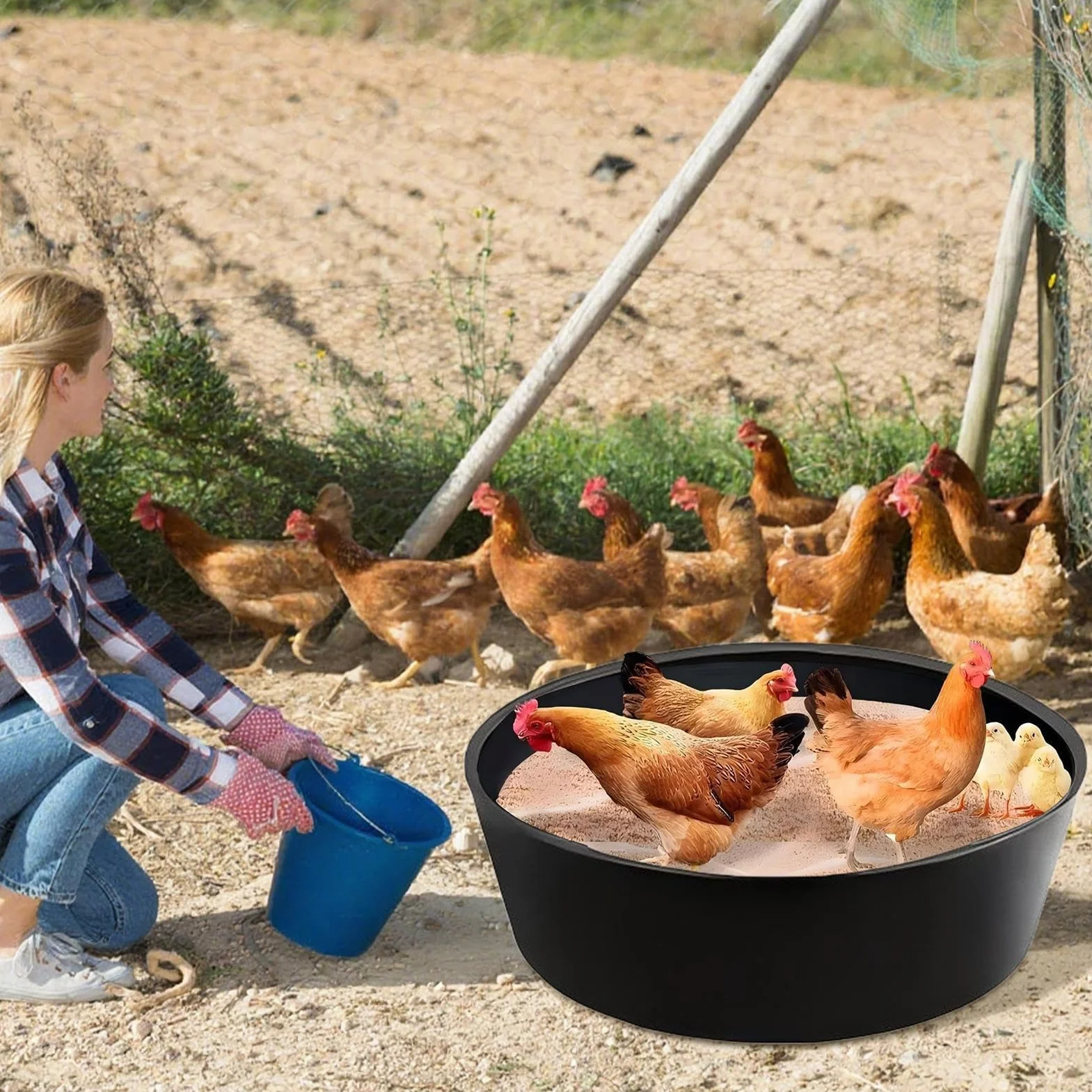 Bagno di Polvere per Galline Pollaio Regolabile 63Cm Pollame