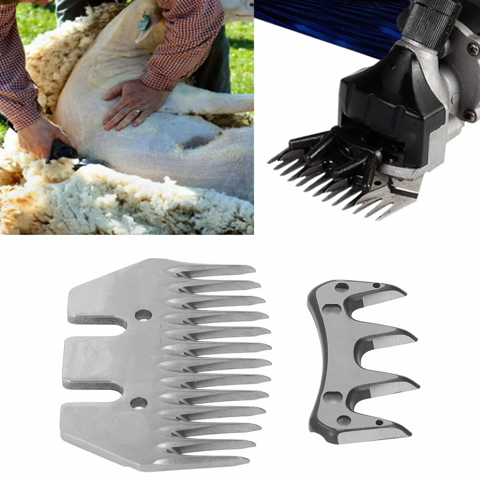 Lama di Ricambio per Cesoie per Pecore, Taglierina Professionale Dritta a 13 Denti