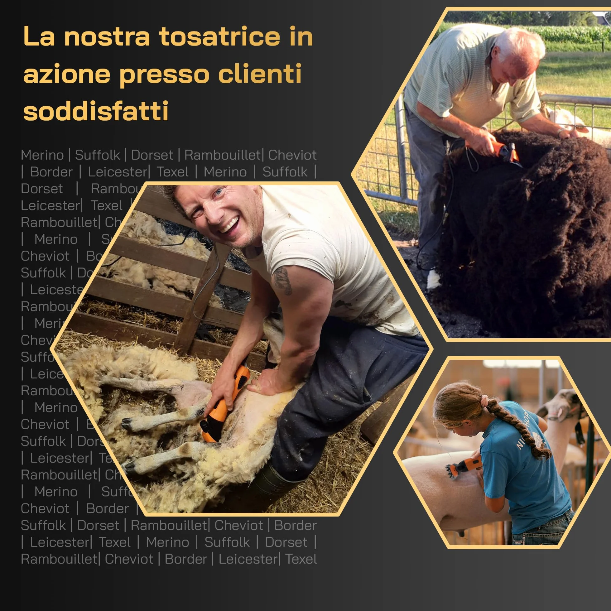 Tosatrice Elettrica per Pecore con Lame Intercambiabili Motore Potente