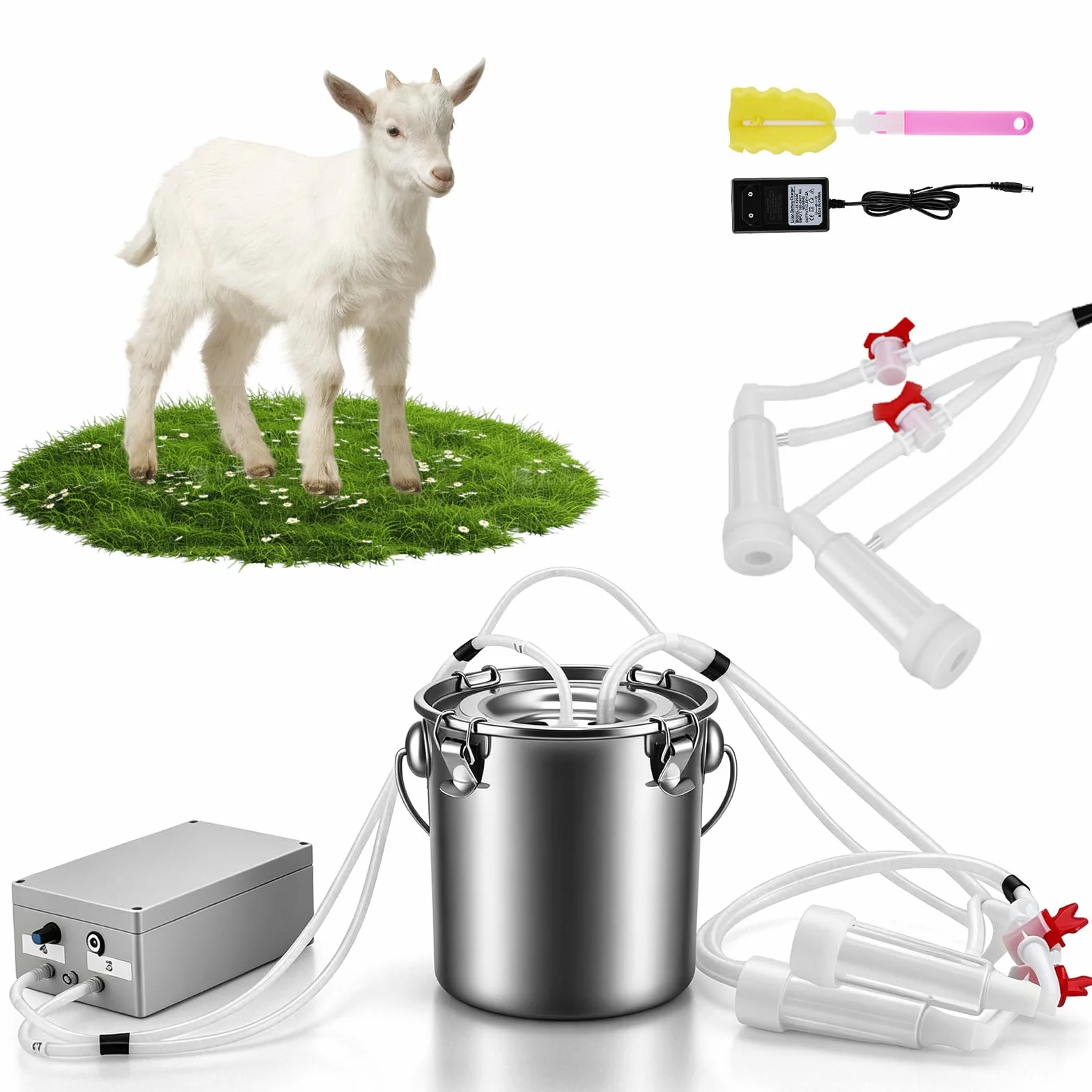 Macchina elettrica per latte di capra 5L, pompa sottovuoto, velocità regolabile, portatile