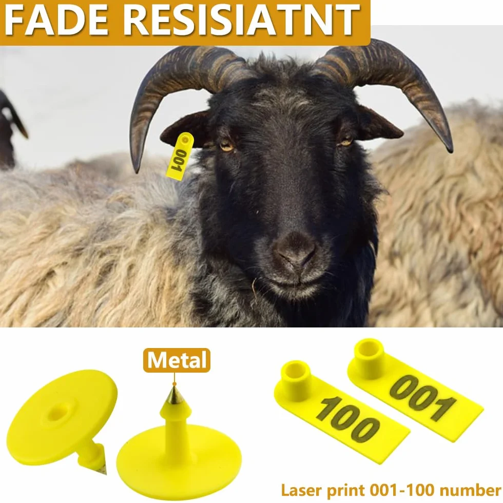 WGCD 300 pezzi di plastica bestiame Ear tag tag blu giallo arancio verde e 1 pz orecchio tag applicatore per capra Sheep Pig
