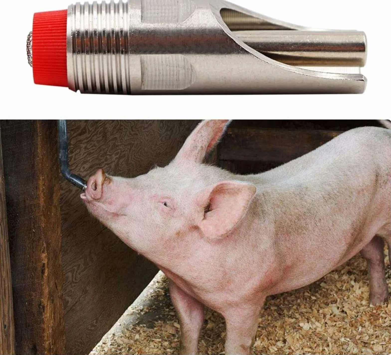 Abbeveratoi Automatici Suini Acciaio Inossidabile con Filtri per Scrofe Suinetti Cani Bovini