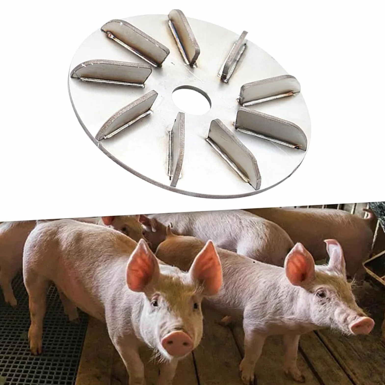 Disco raschietto per la rimozione dei dei maiali, facile da pulire, 10 cm, strumento per raschietto per suini, rimozione di maiale, leggero, per galline, galli, pollo, , pecora, pollame