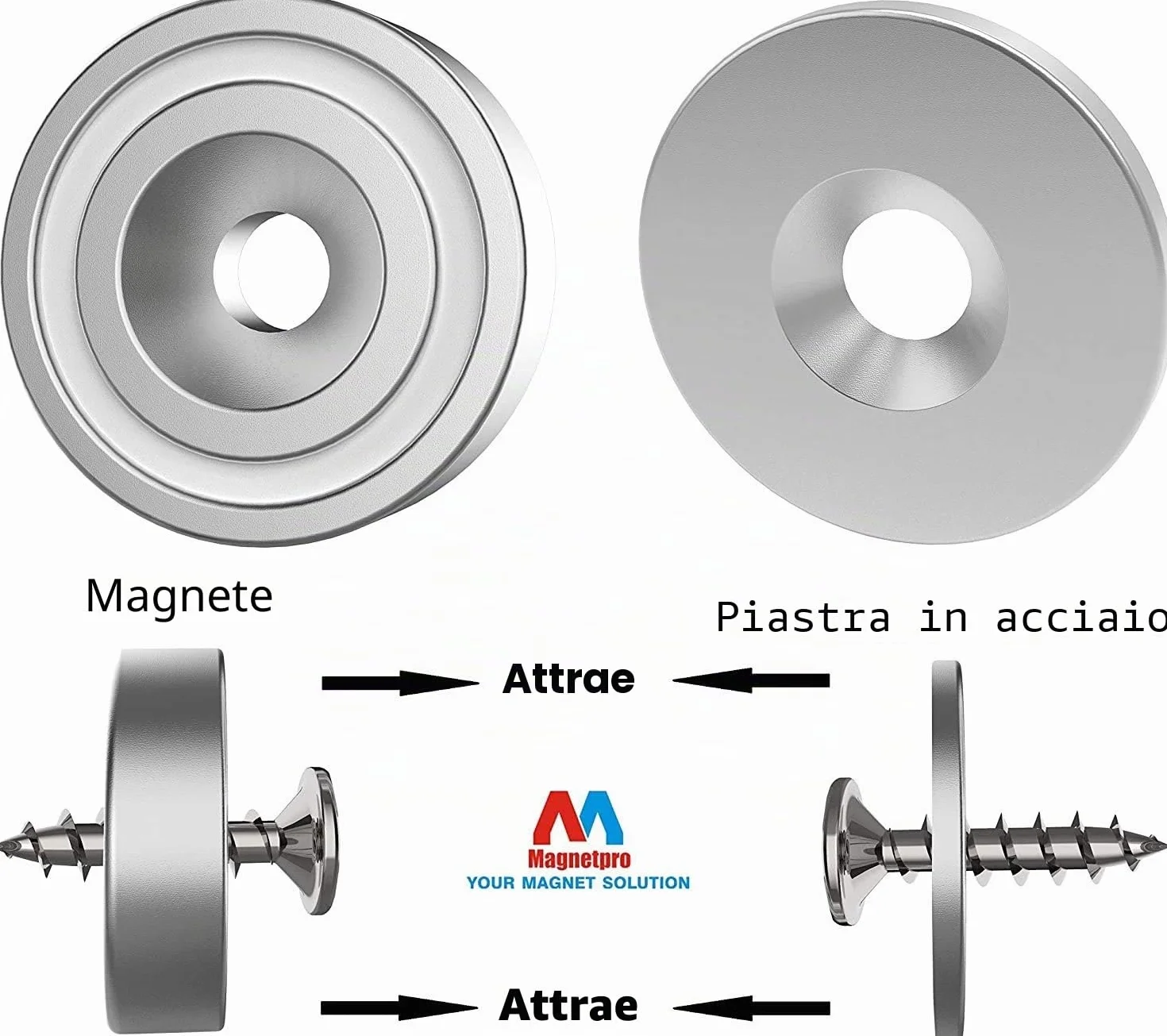 Magnetpro 12 pezzi magneti 10 KG forza 20 x 7 mm con foro e capsula, magnete al neodimio con base in acciaio svasato con viti e 12 cuscini in acciaio (Argento Brillante)