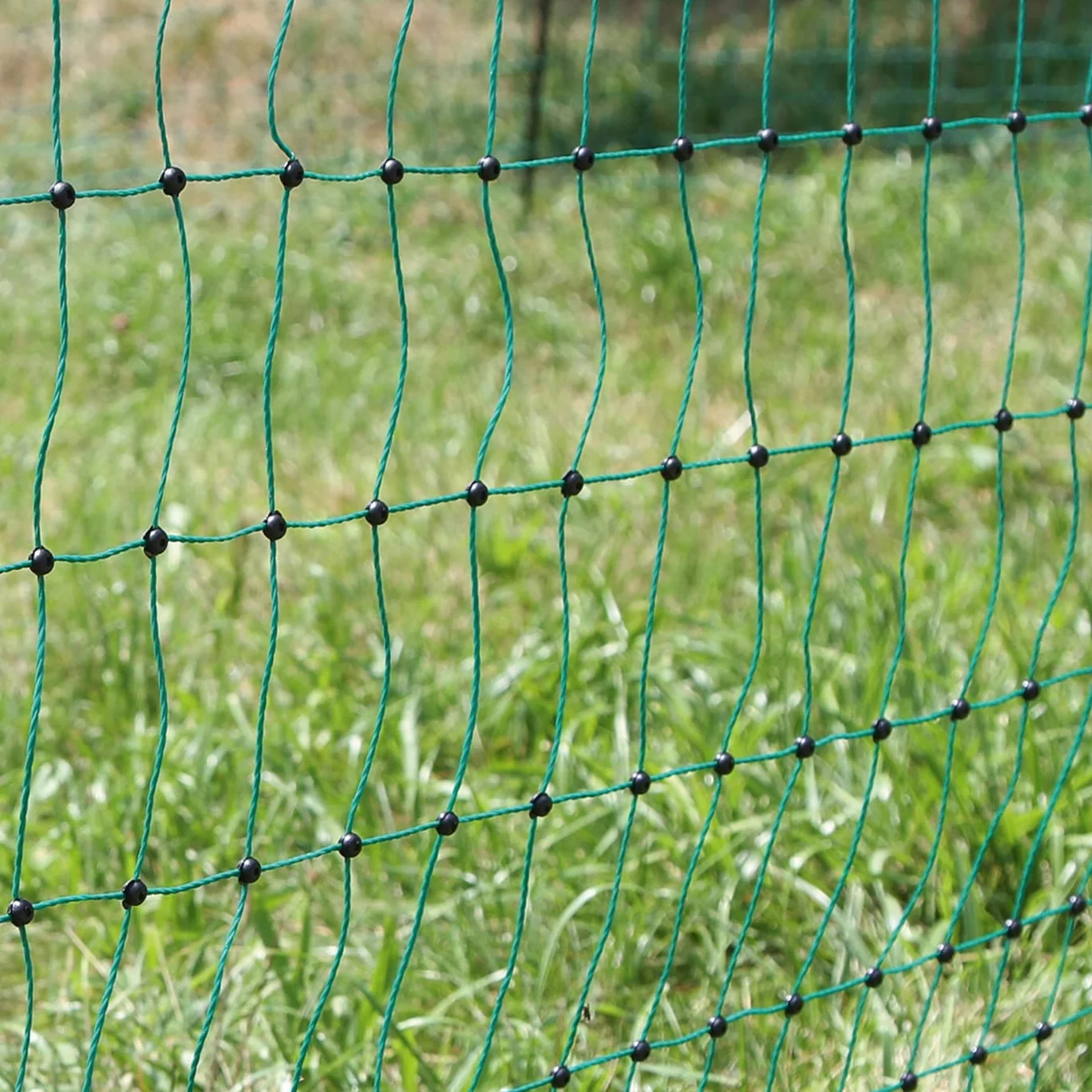VOSS.farming Rete pollame Classic 112 cm x 50 m, a Punta Doppia, 16 pali, Zielony
