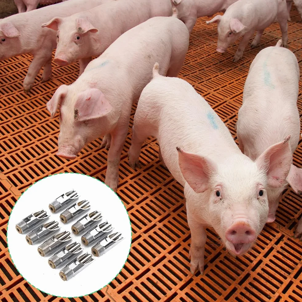 Pig Nipple Waterer Stainless Steel Automatic for Piglets Hog Farm Accessories