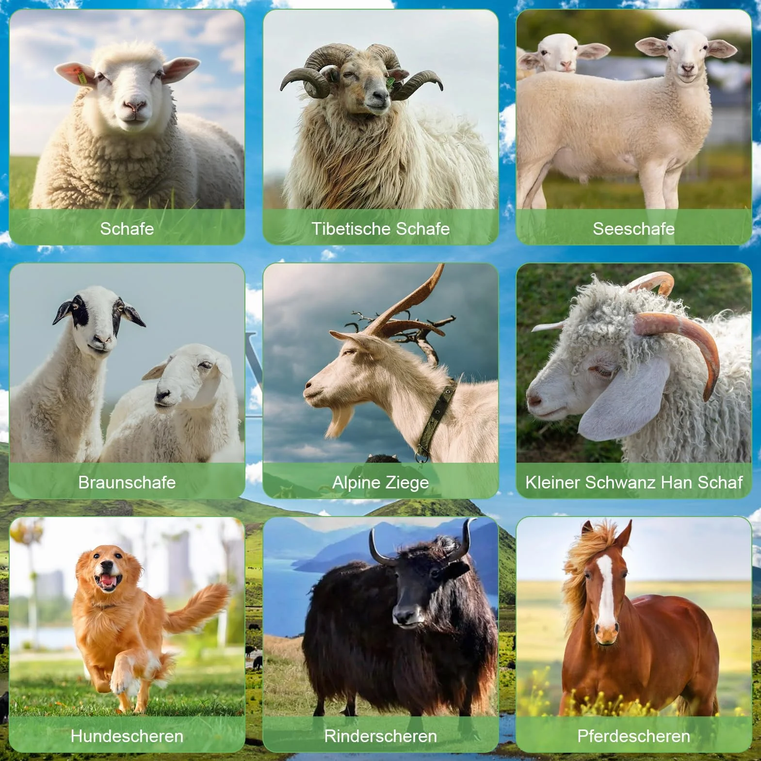 Lama per Tosare le Pecore 13 Denti Elettrica Professionale per Capre Ricambio