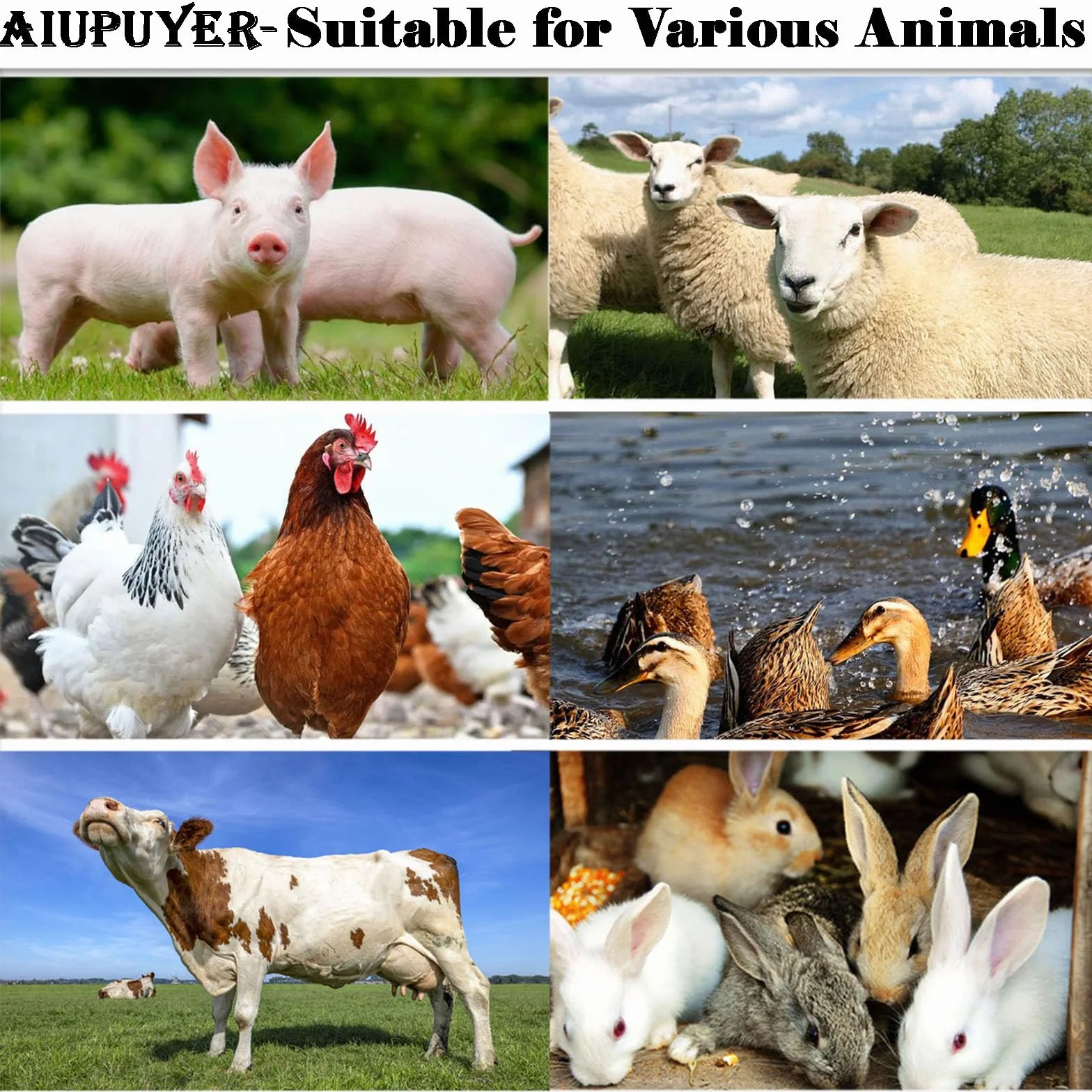 Siringa Semiautomatica per Bestiame Dispenser Medicina Vaccini Veterinari Pompa Precisione Iniettore Animale Regolabile Riutilizzabile