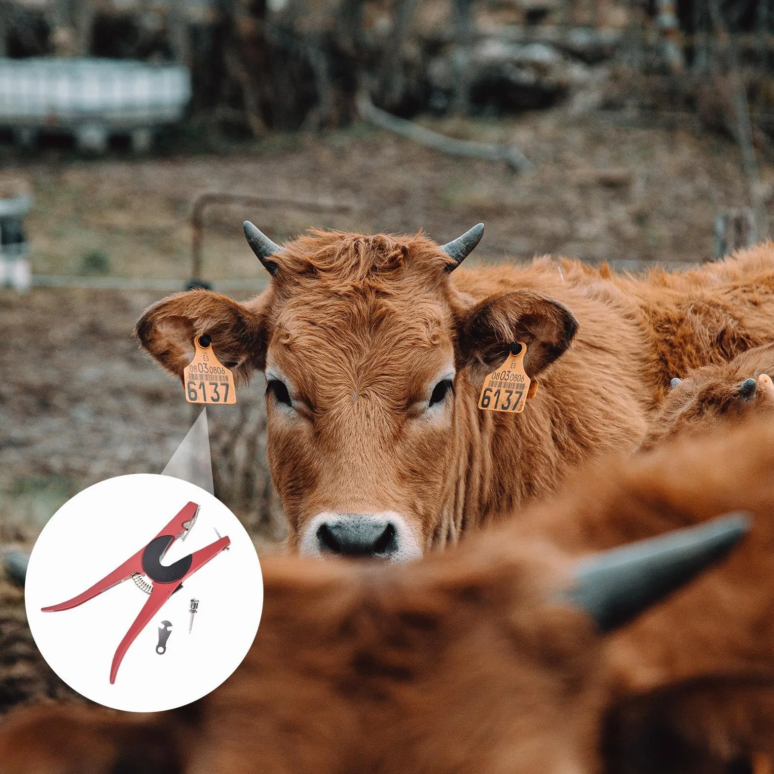 Pinza Per Orecchie | Strumenti Animalizzati Robusti,Pinza Per Posare Orecchini Per Bestiame | per Fattoria Ranch Fienile Pascolo Mucche Pecore Cane