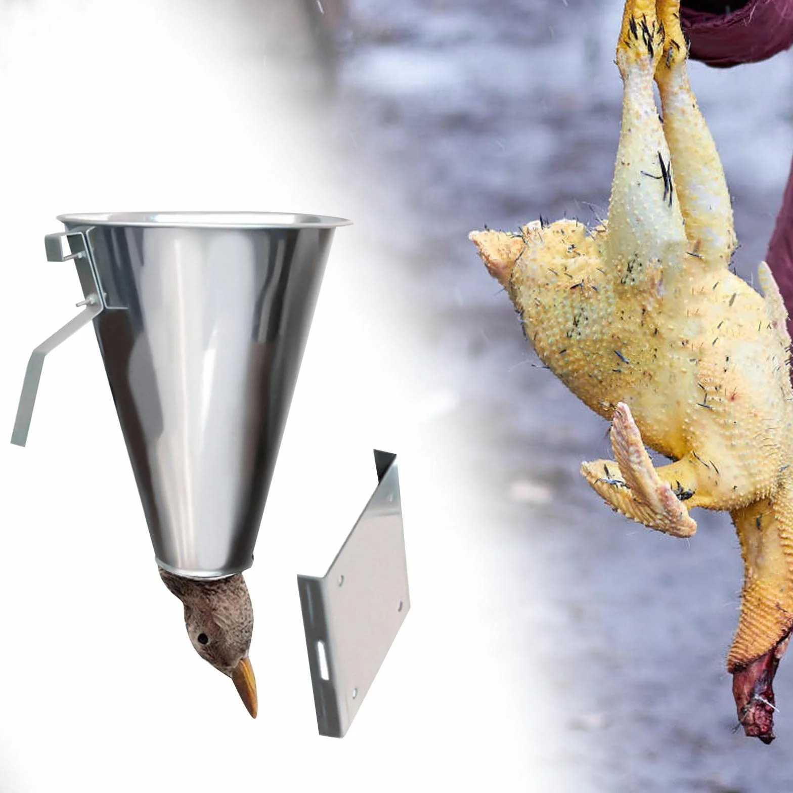 Generic Cono di trattenimento del pollame Forniture per imbuto per sanguinamento del pollo Strumento di macellazione semplice da usare Imbuto durevole, io