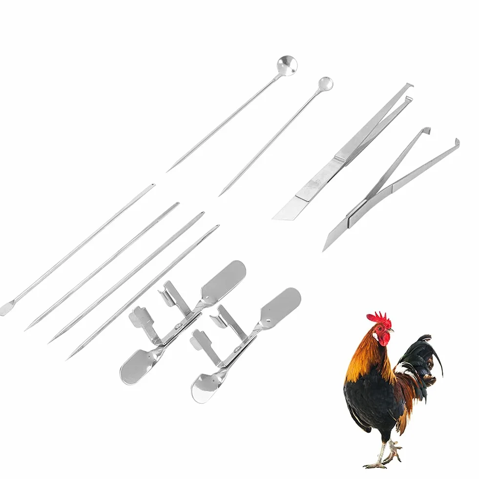dsheng Attrezzo per Cappone di Pollo, Kit Rapido, 10 Pezzi, per Animali, Bestiame, Prodotti Sanitari per Bestiame